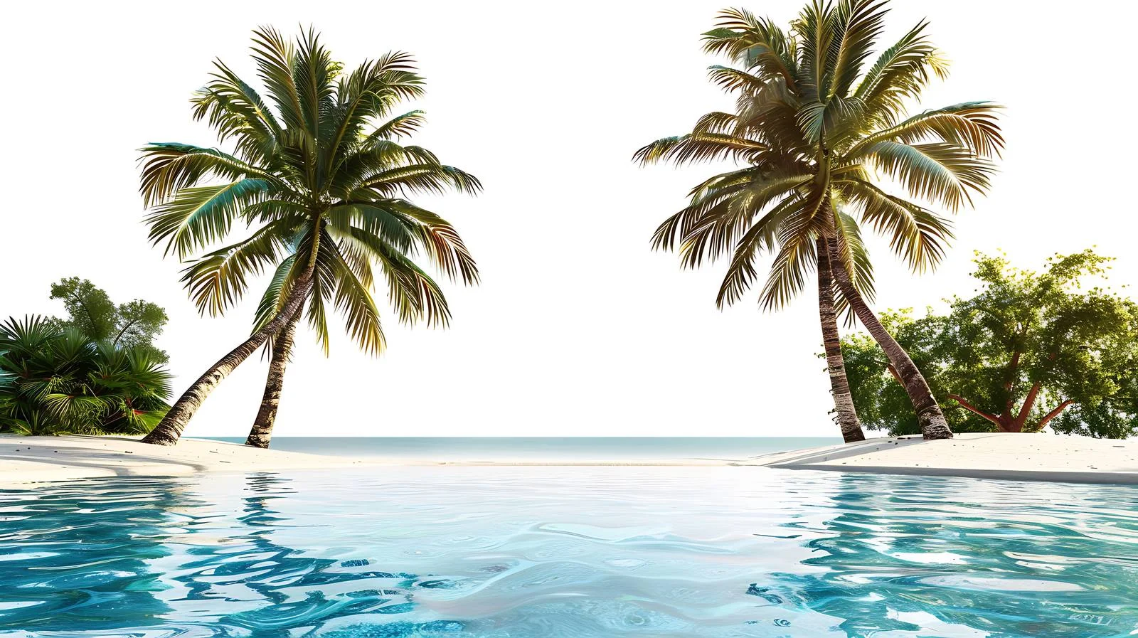 Exotic Beach Resort with Luxurious Pools — free download from Dotvec