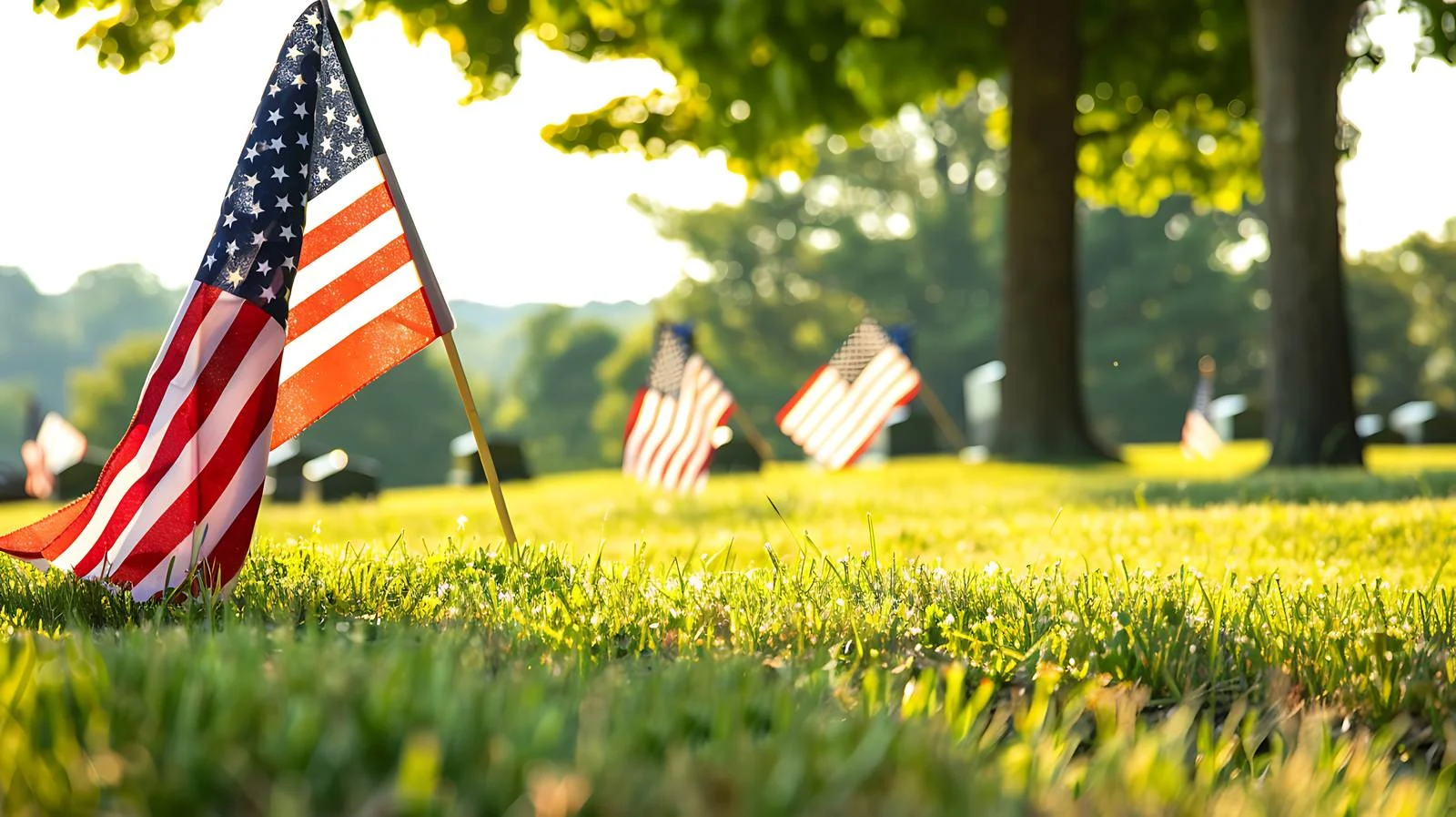 Patriotic flags by Arlington gravestones — free download from Dotvec