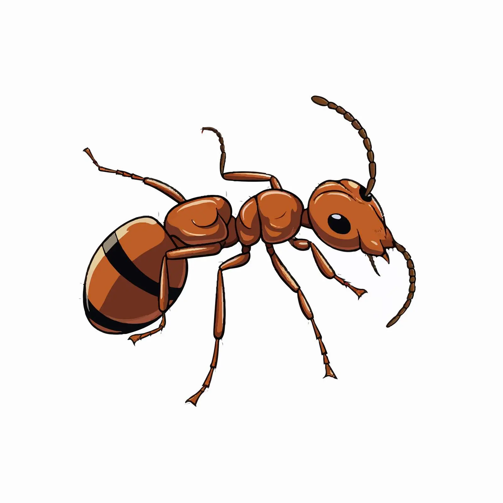 Ant Line Vector Illustration on White Background — free download from Dotvec
