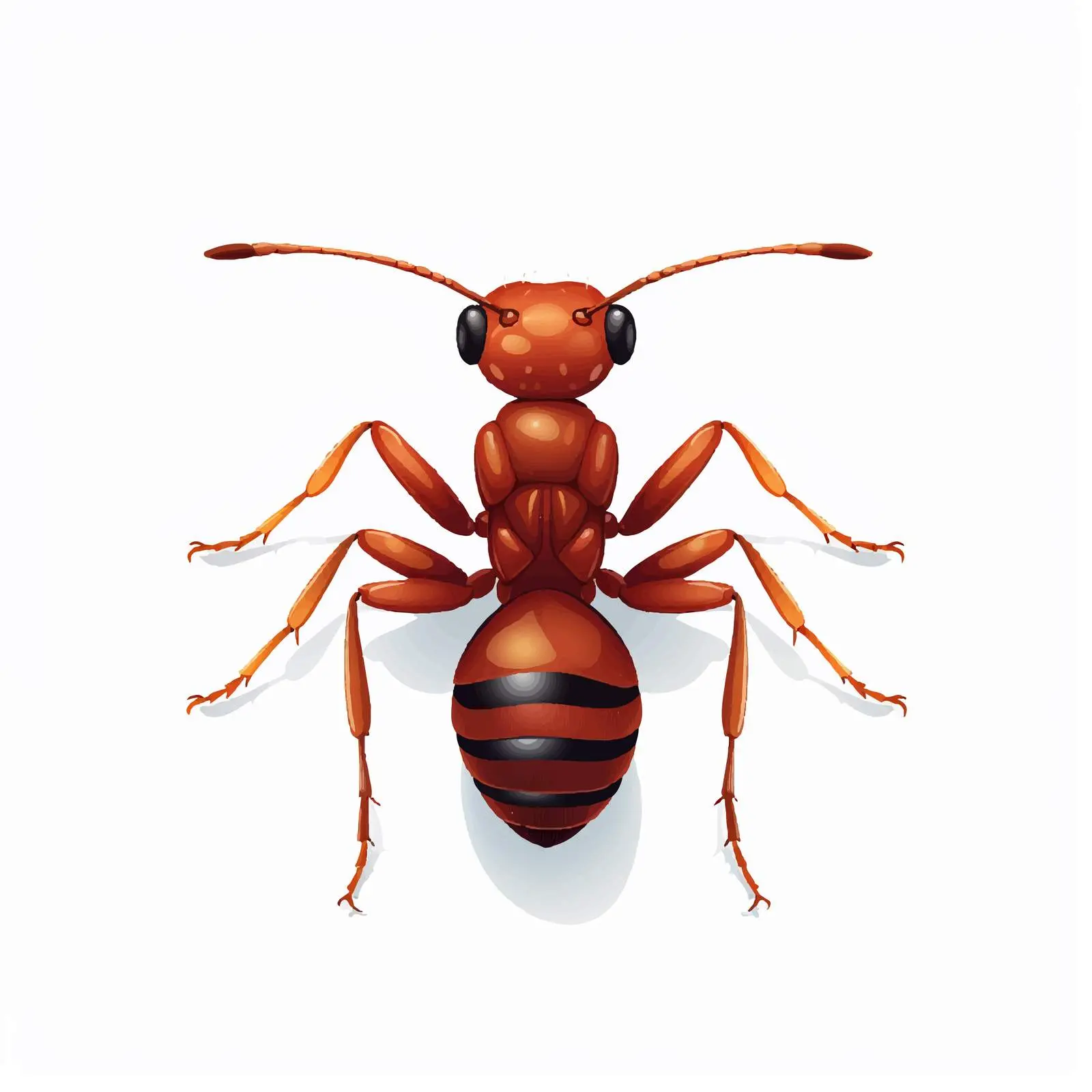 Top View Ant Vector Illustration on White Background — free download from Dotvec