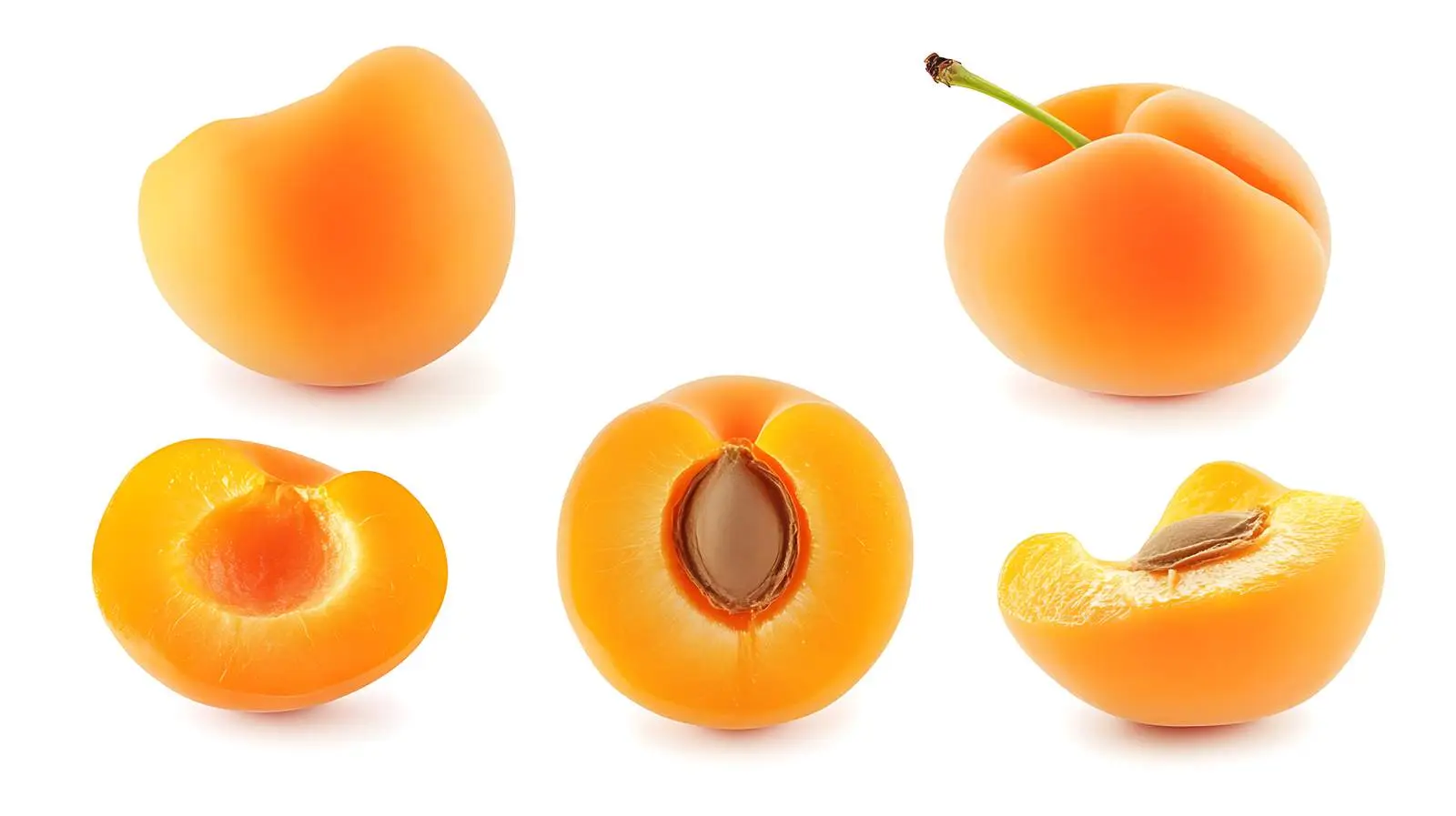 Apricot Fruits Isolated Image — free download from Dotvec