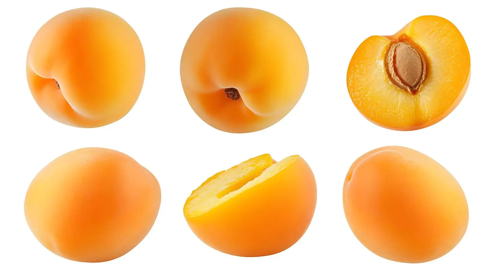 Apricot Fruits Isolated High Quality — free download from Dotvec
