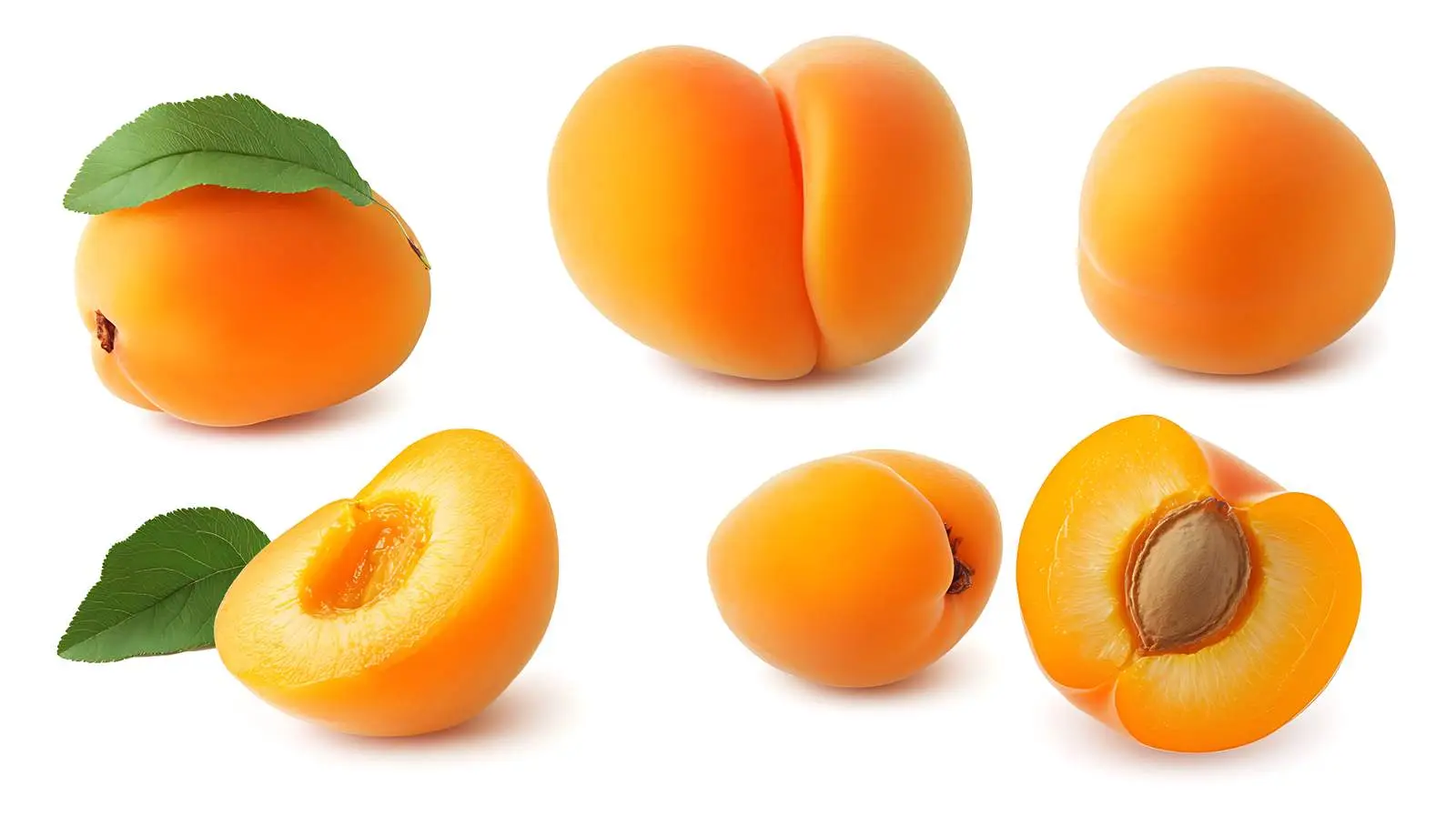 Apricot Fruits High Quality Isolated Image — free download from Dotvec