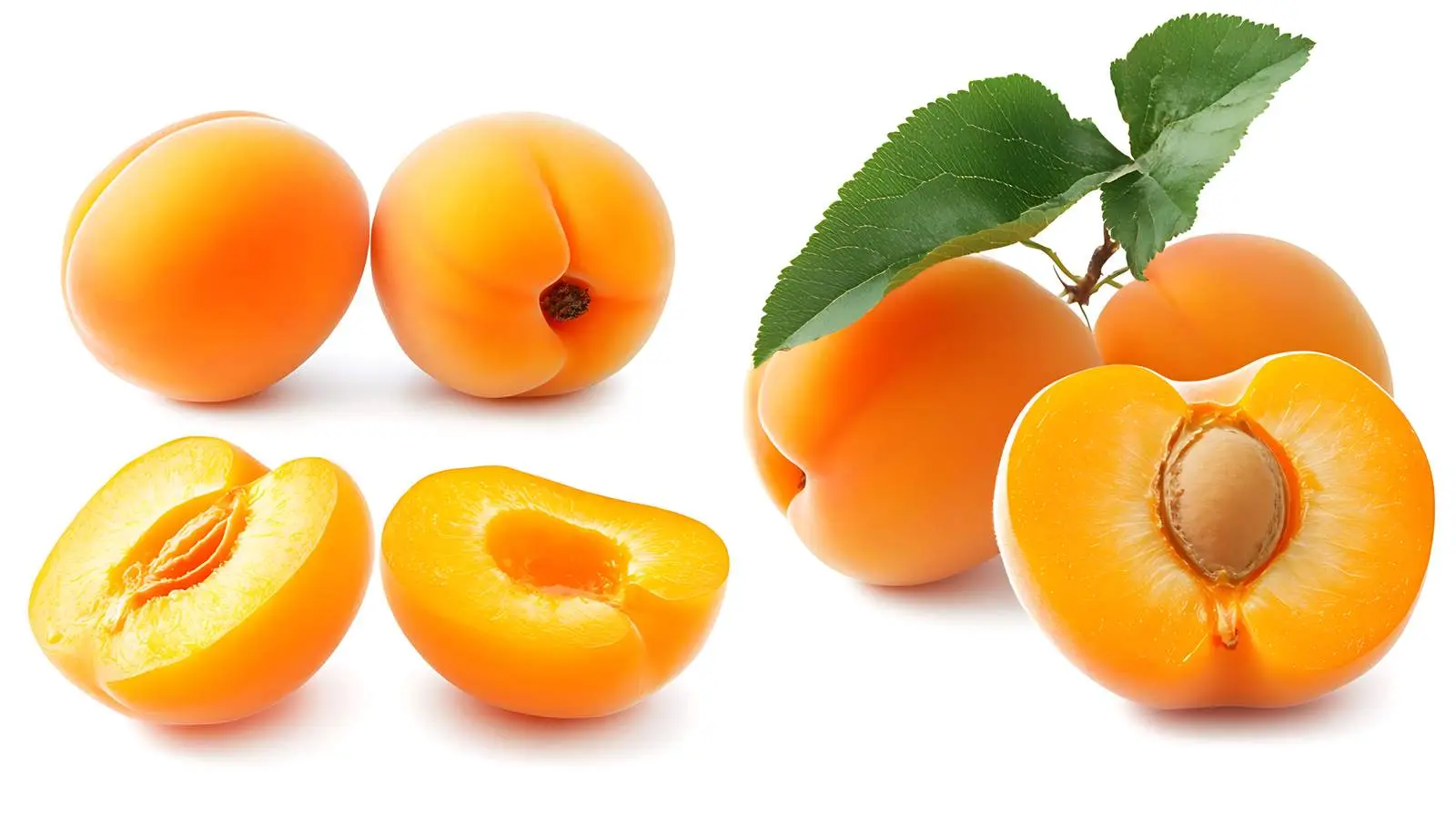 Premium Apricot Fruits Isolation Image — free download from Dotvec
