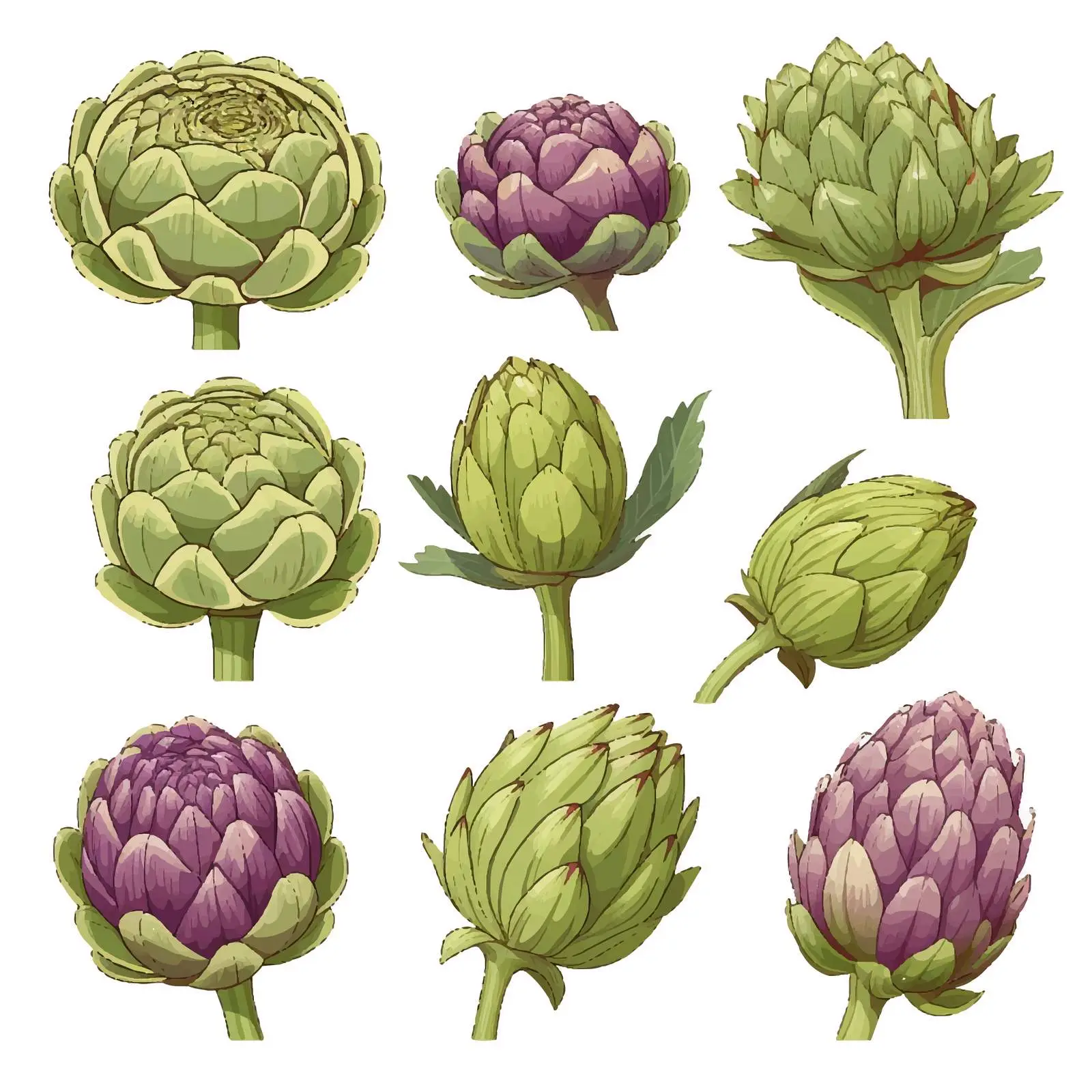 Hand-Drawn Artichoke Botanical Set — free download from Dotvec