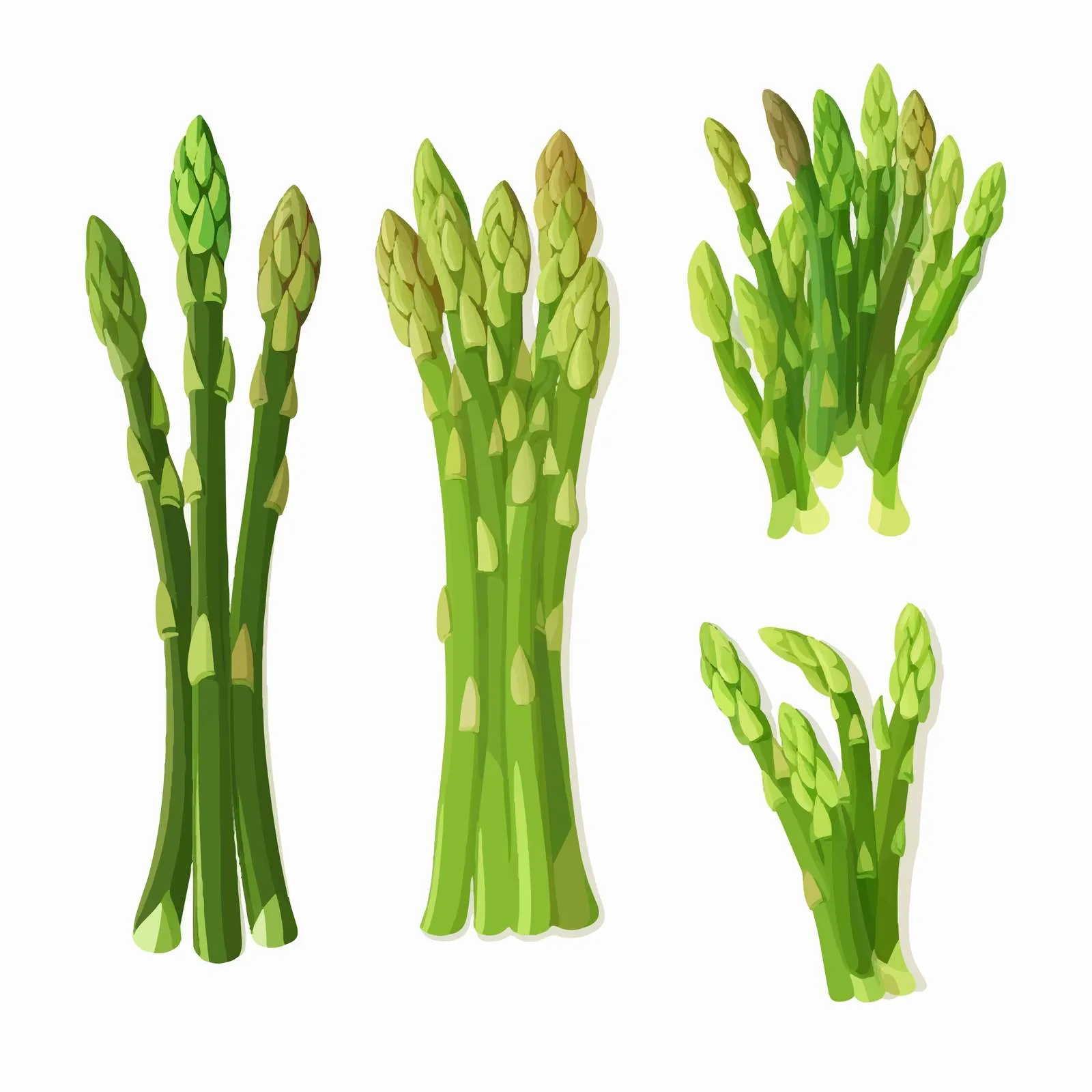 Fresh Green Asparagus Stalks and Spears — free download from Dotvec