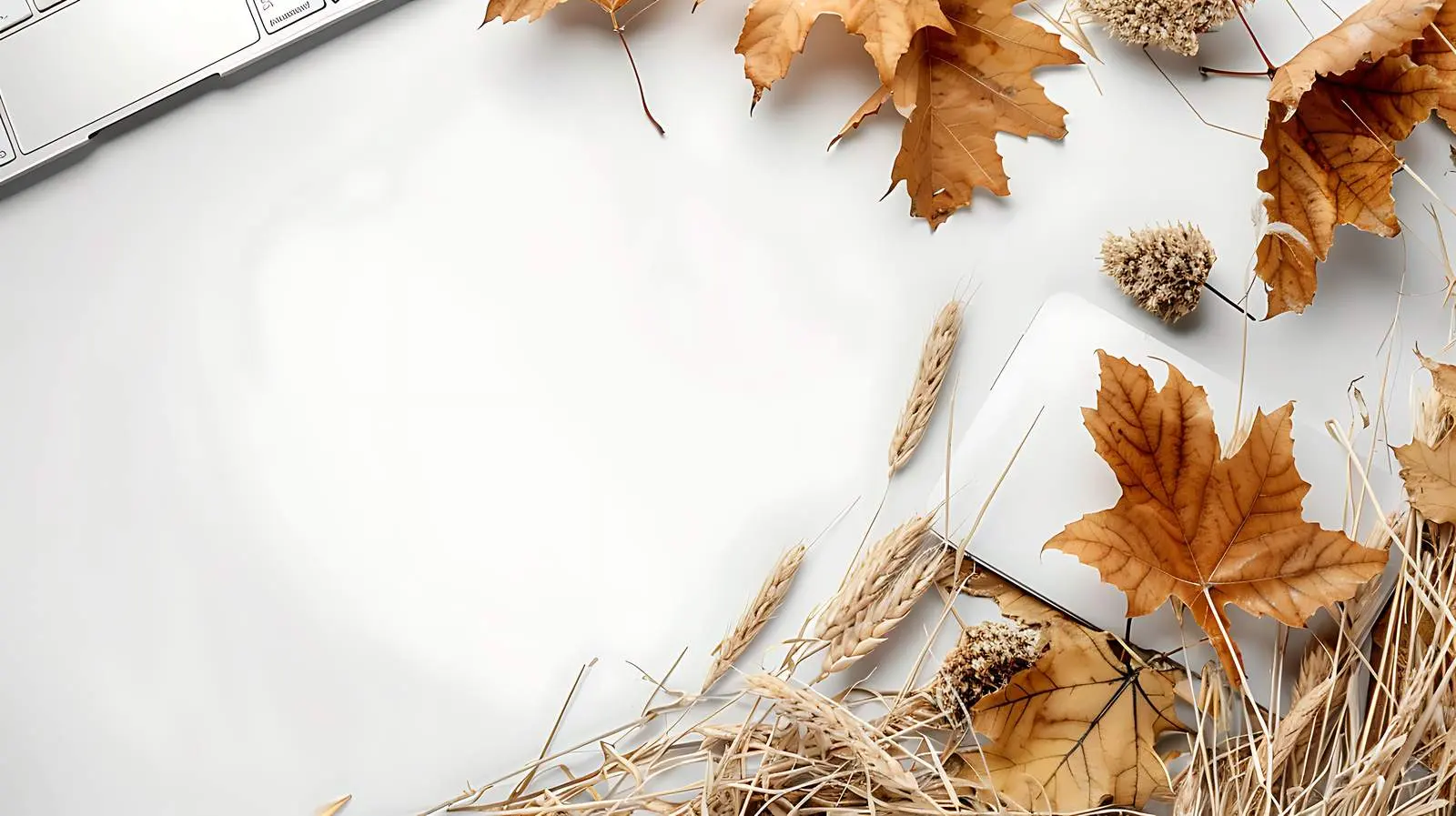 Autumn Workspace with Laptop and Leaves — free download from Dotvec