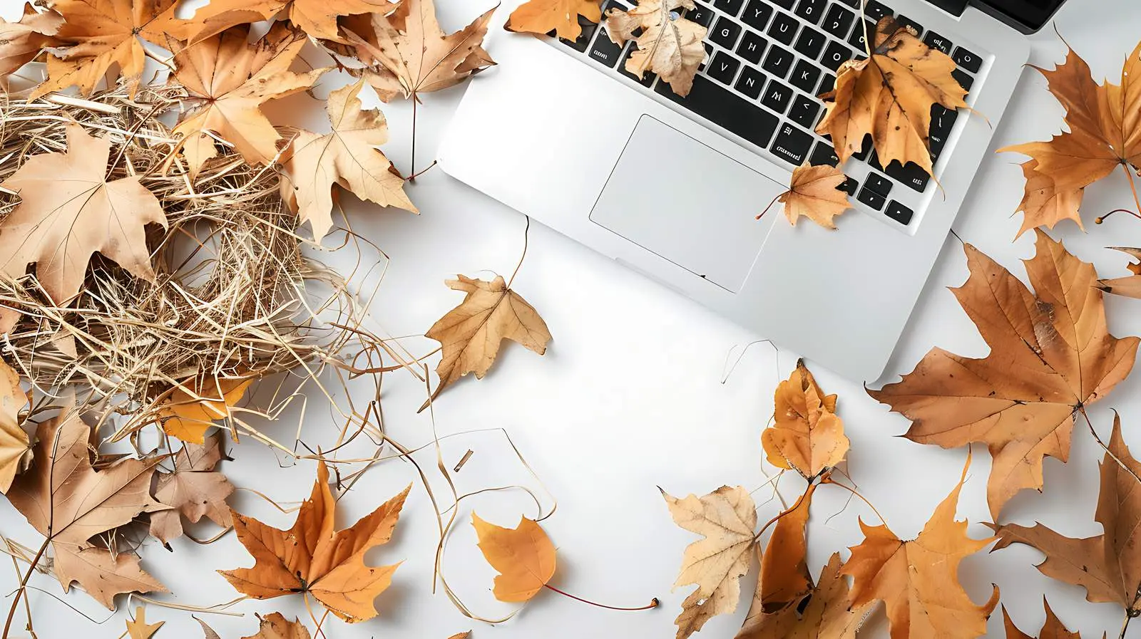 Autumn Laptop Scene with Leaves and Straw — free download from Dotvec