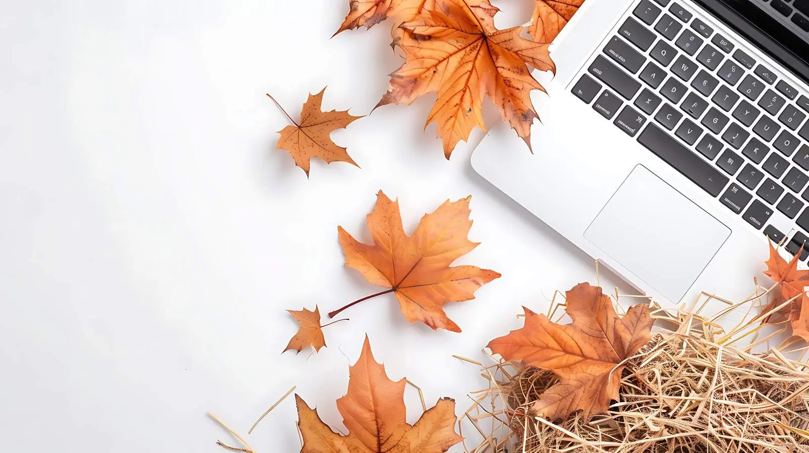 Autumn Setup with Laptop and Dry Leaves — free download from Dotvec