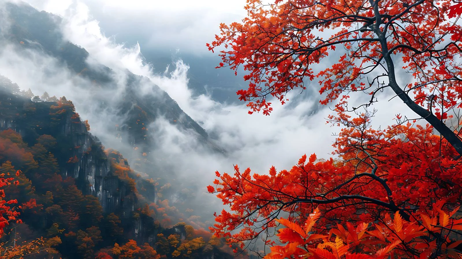 Vibrant Autumn Foliage at Guangwu Mountain — free download from Dotvec