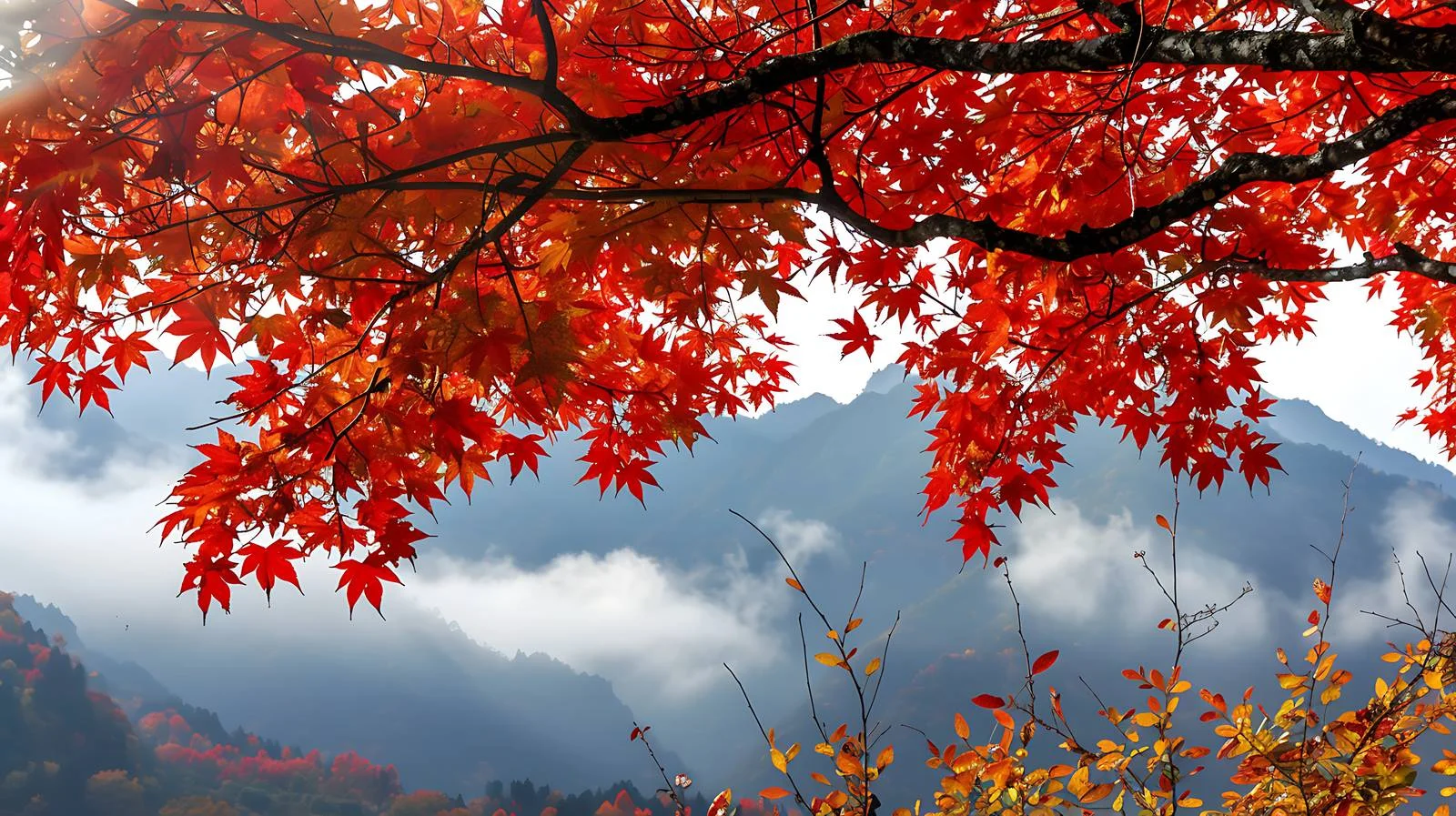 Vibrant Autumn Foliage at Guangwu Mountain — free download from Dotvec