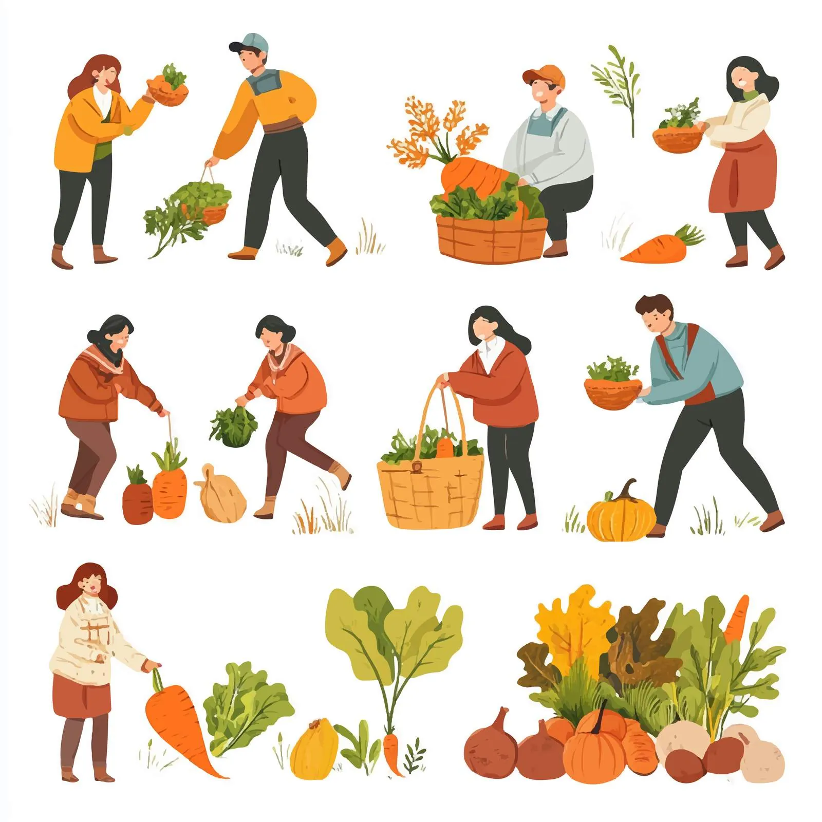 Autumn Vegetable Harvest Vector Illustrations Set — free download from Dotvec