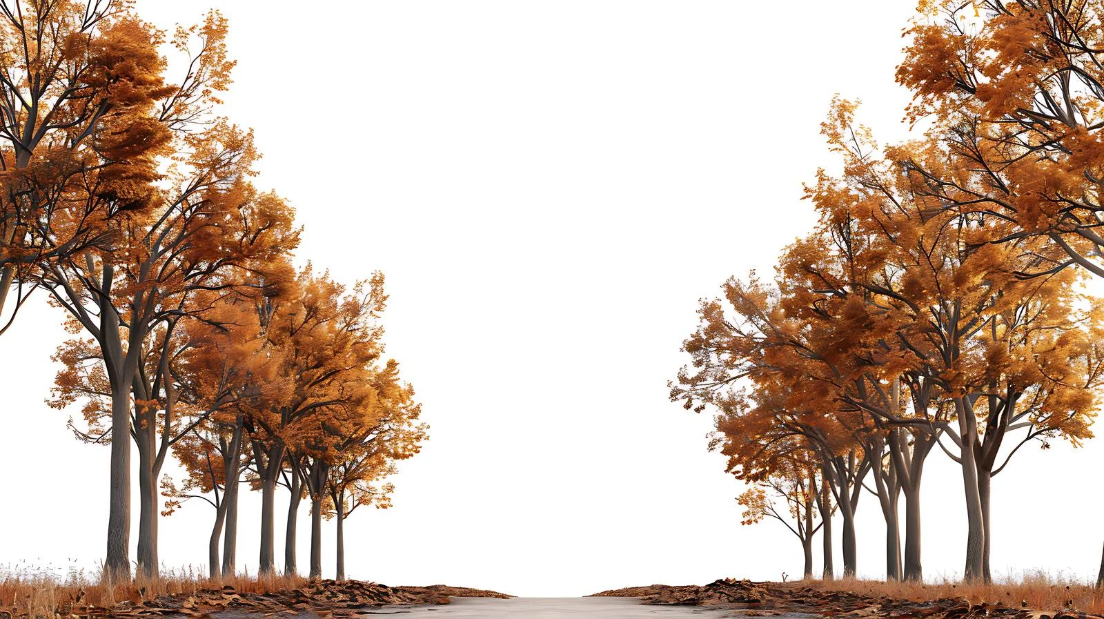 Tranquil Autumn Morning in Old Tree Lined Avenue on White Background — free download from Dotvec