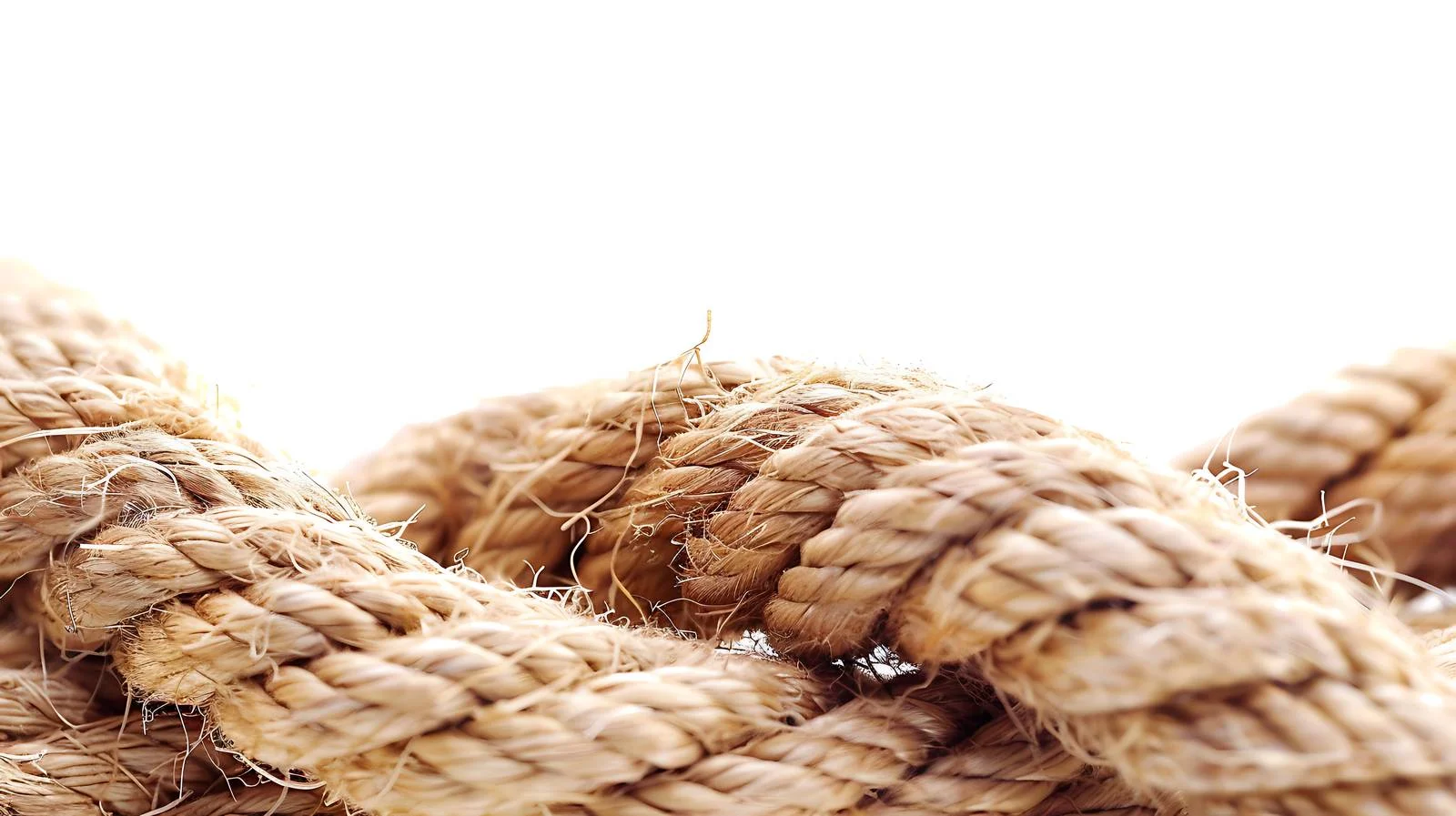 Detailed Jute Rope Close-Up on White — free download from Dotvec