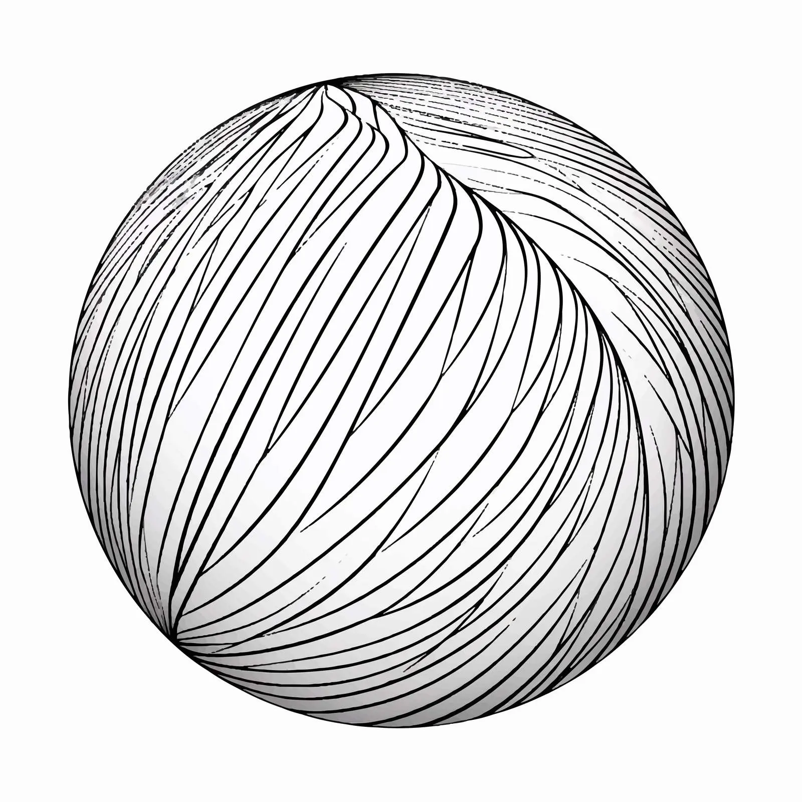Ball Line Vector Illustration on White Background — free download from Dotvec