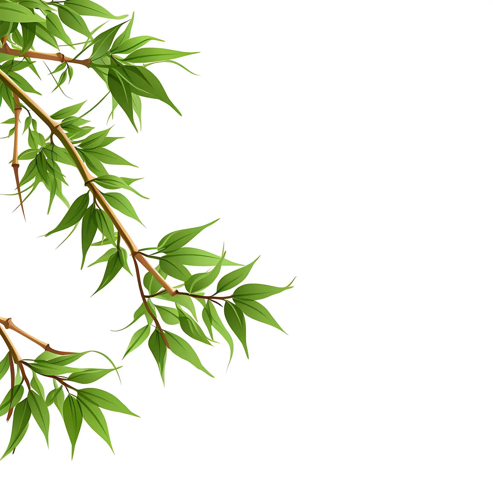 Fresh Bamboo Leaves on White Background — free download from Dotvec