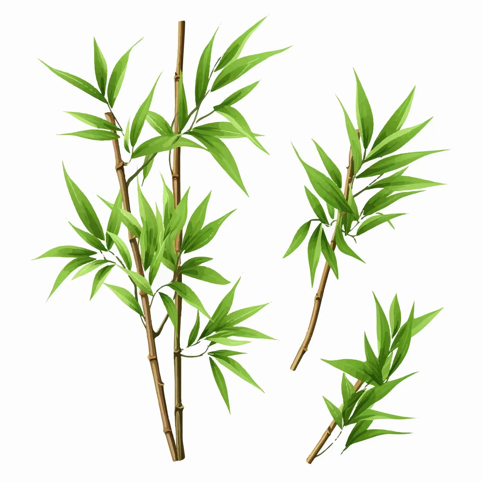 Bamboo Green Leaves Corners Kit on White Background – free nature vectors image from Dotvec