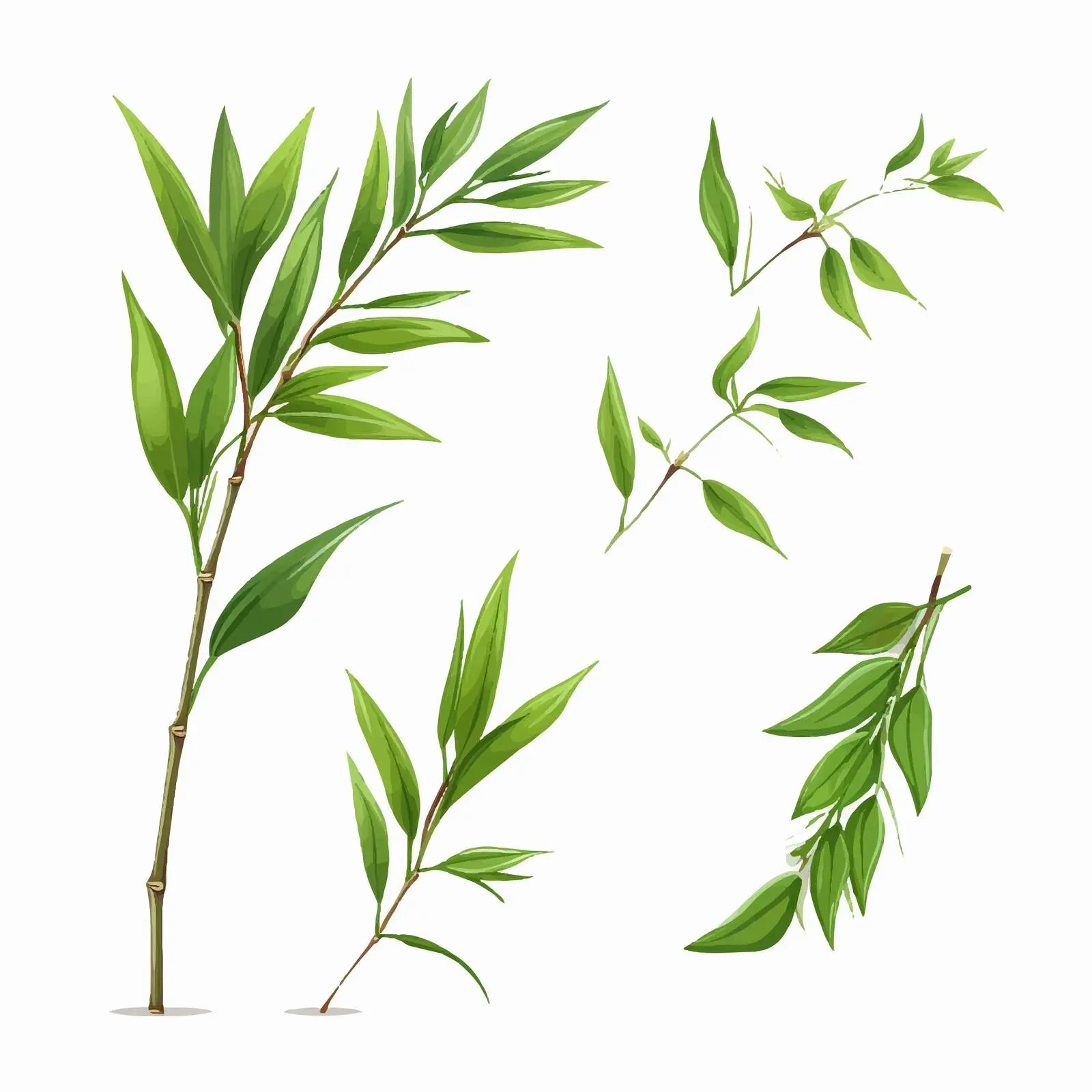 Bamboo Green Leaves Corner Kit on White Background – free creative designs image from Dotvec