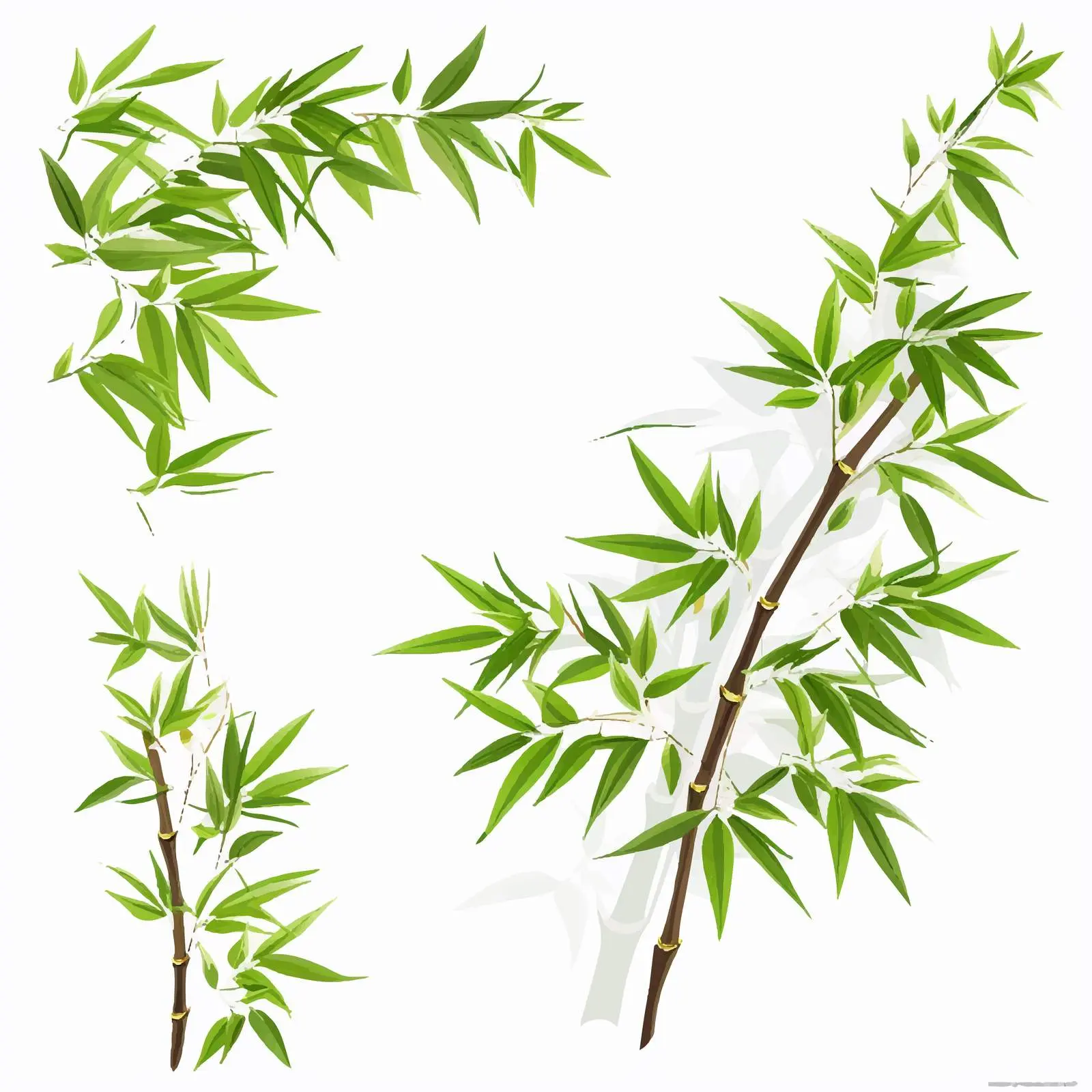 Bamboo Green Leaves Corners Kit on White Background – free plant graphics image from Dotvec