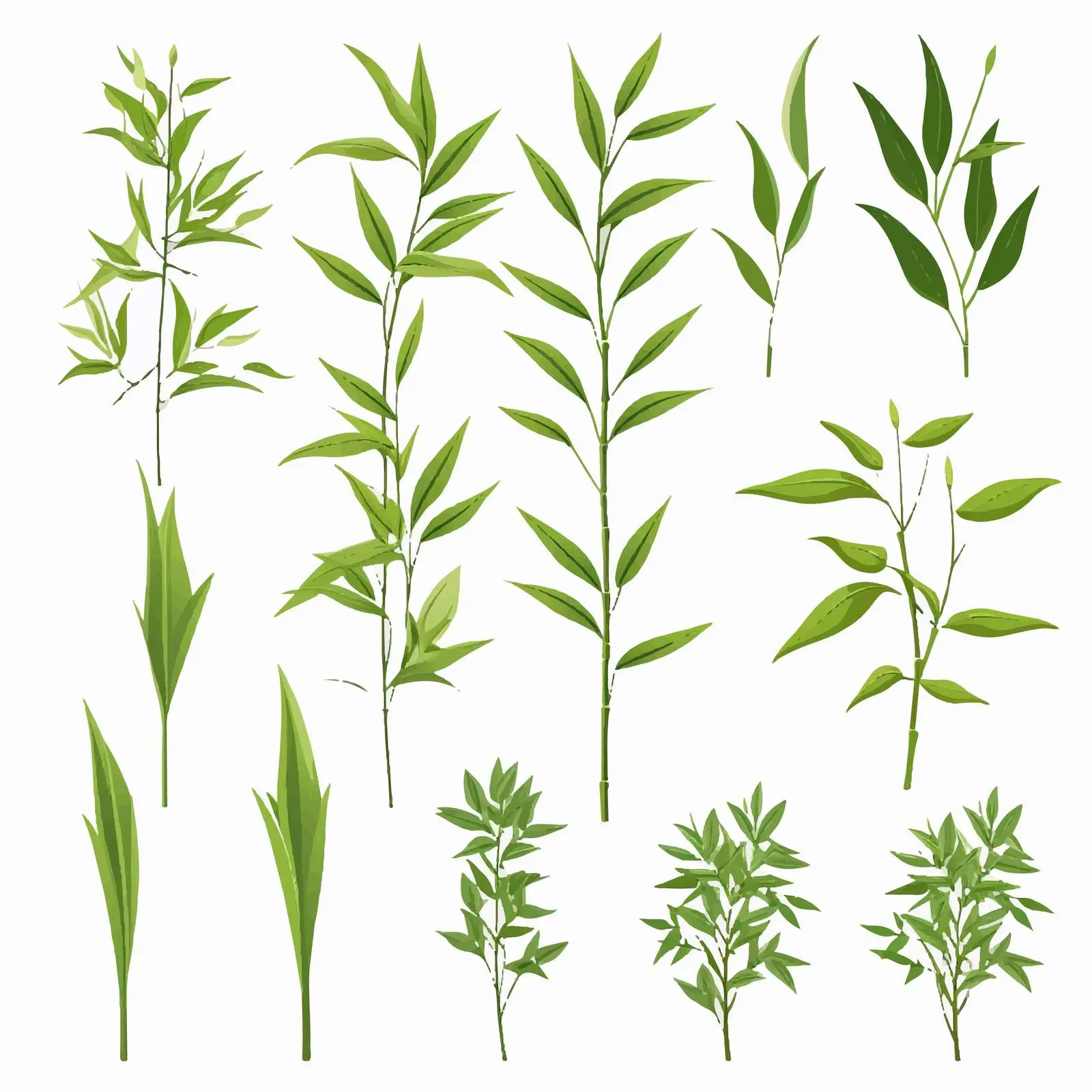 Bamboo Green Leaves Silhouettes Clip Art Set — free download from Dotvec