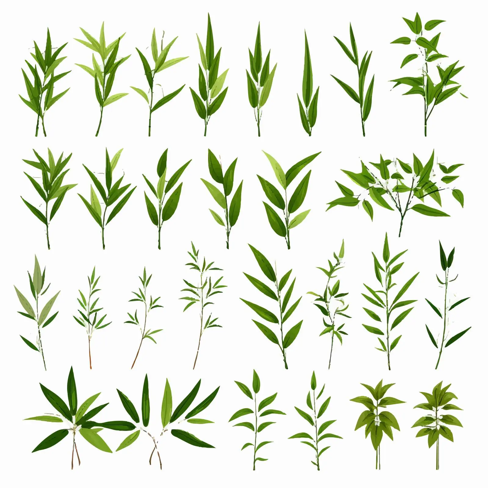 Bamboo Green Leaves Silhouettes Clip Art Set – free natural design image from Dotvec
