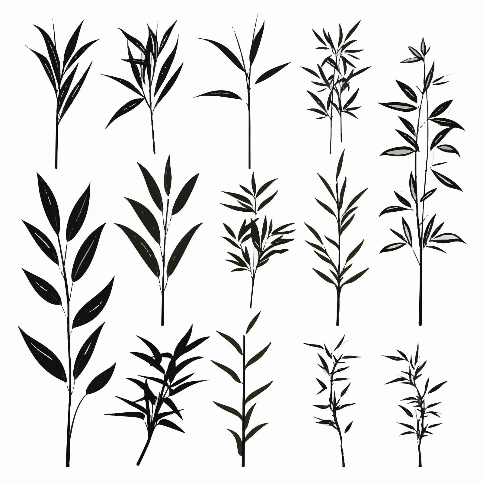 Bamboo Leaves Silhouettes Vector Set — free download from Dotvec
