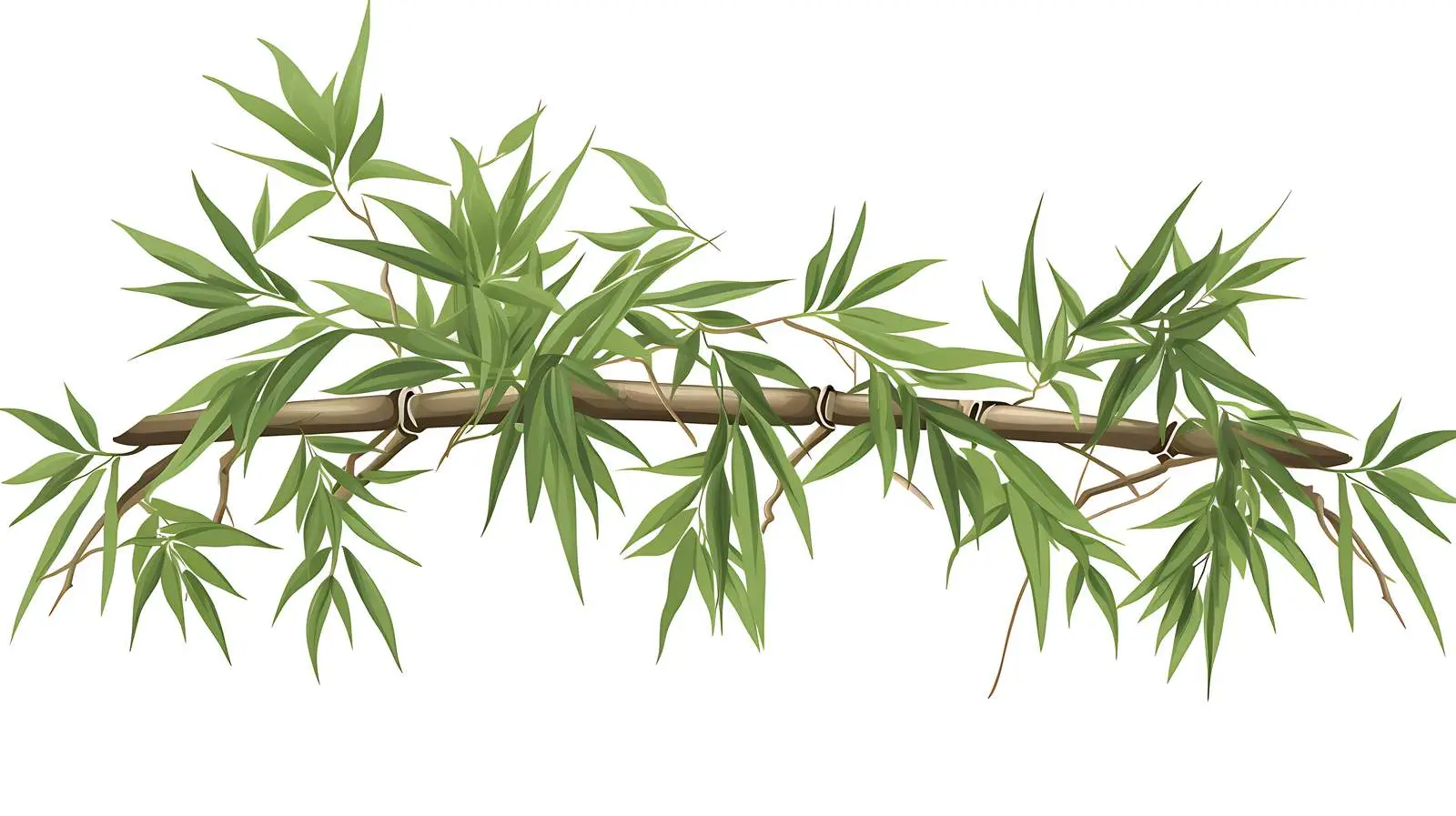 Japanese Bamboo Panel Vector Illustration — free download from Dotvec