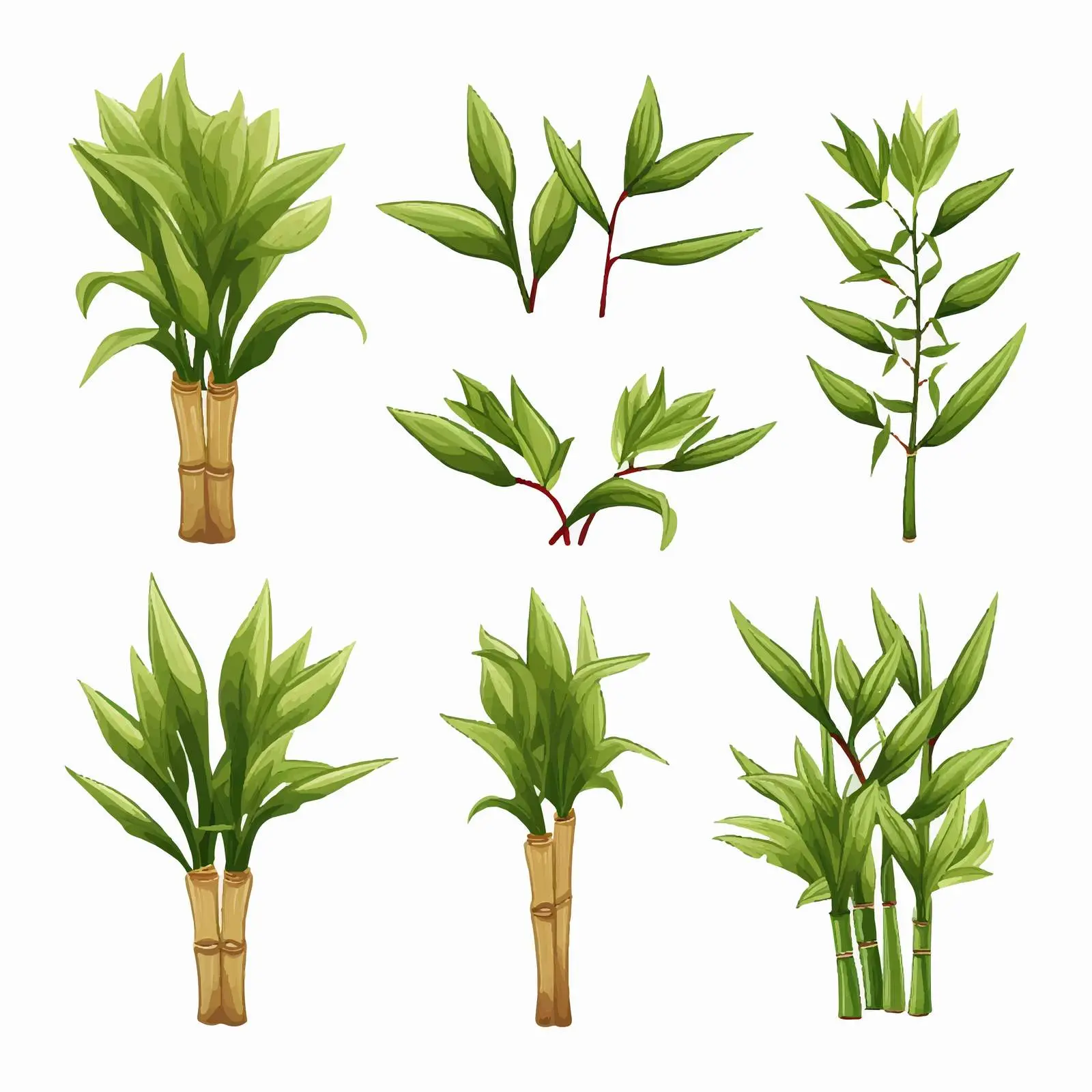 Cartoon Bamboo Shoots Clip Art on White Background — free download from Dotvec