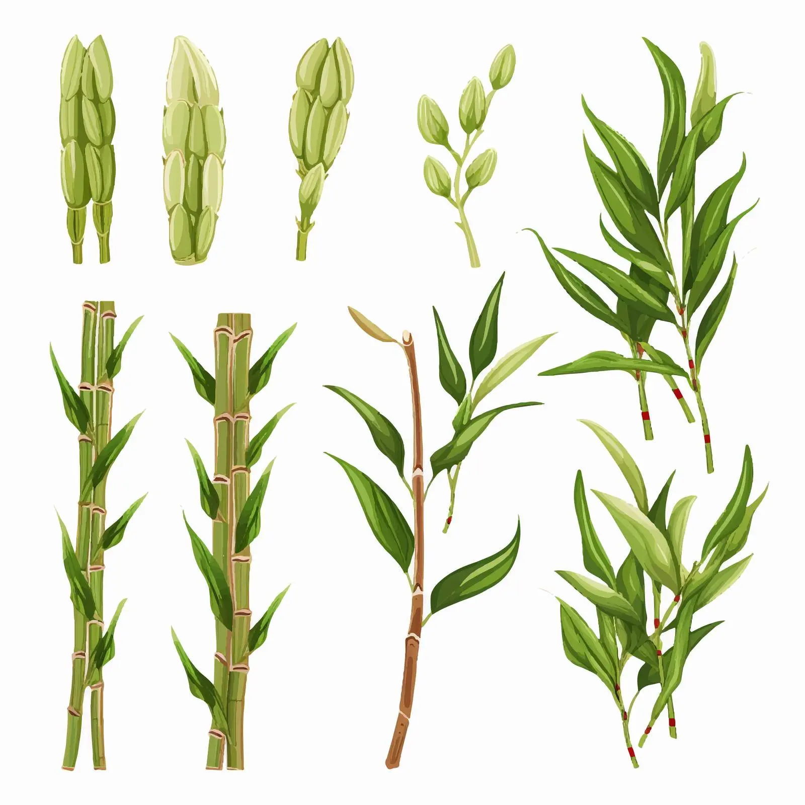 Cartoon Bamboo Small Shoots Clip Art — free download from Dotvec