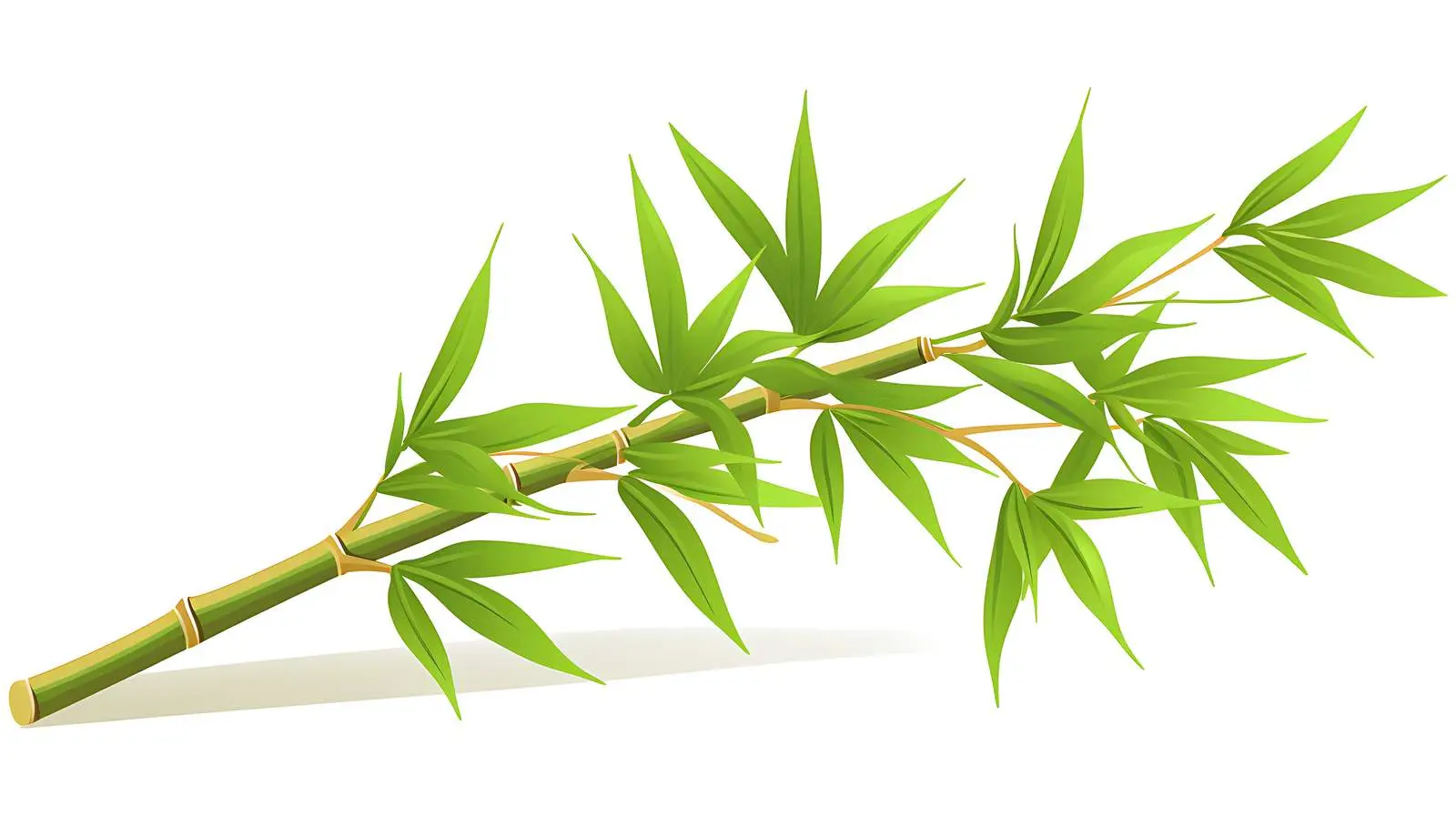 Bamboo Vector Icon Illustration — free download from Dotvec