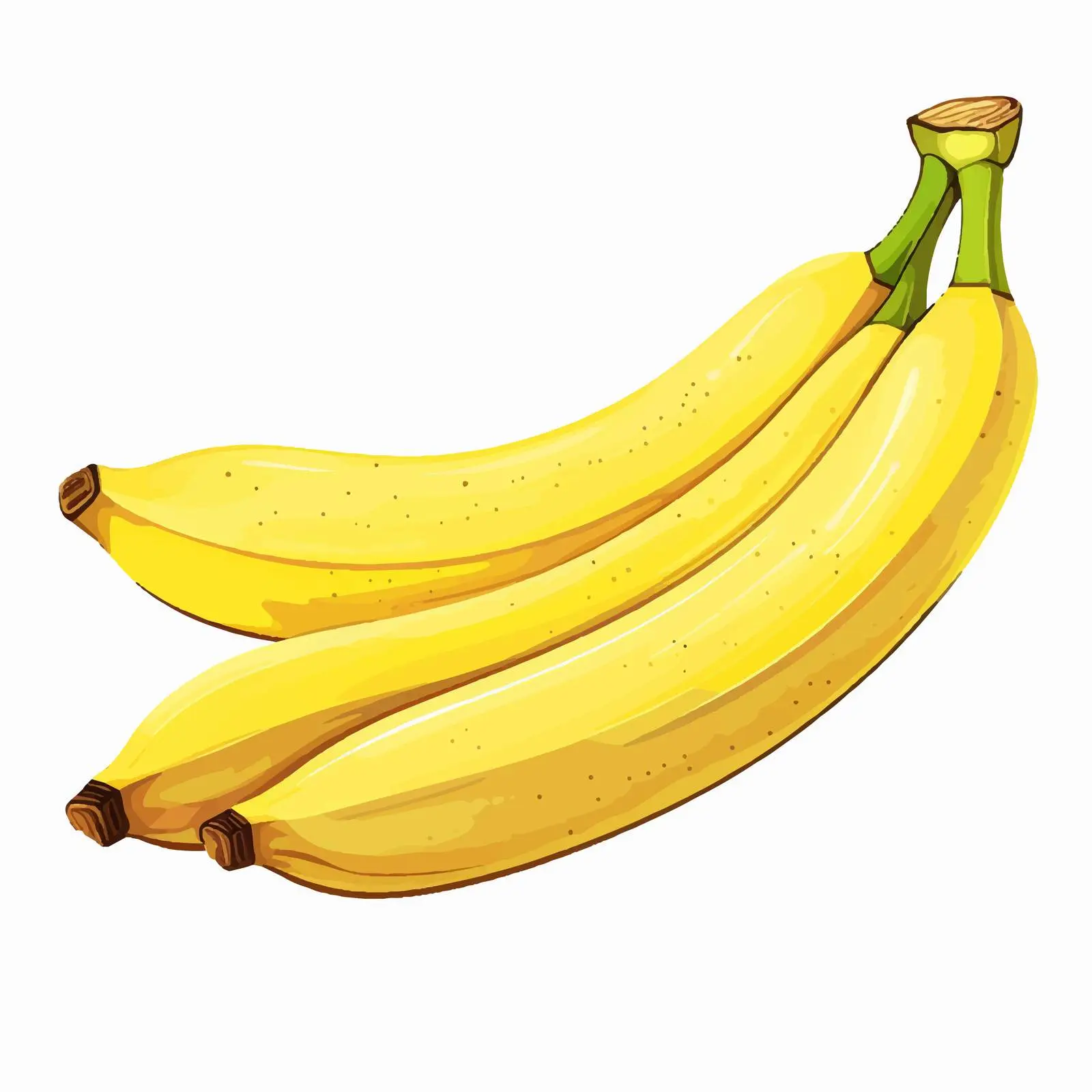 Banana Vector Illustration on White Background — free download from Dotvec