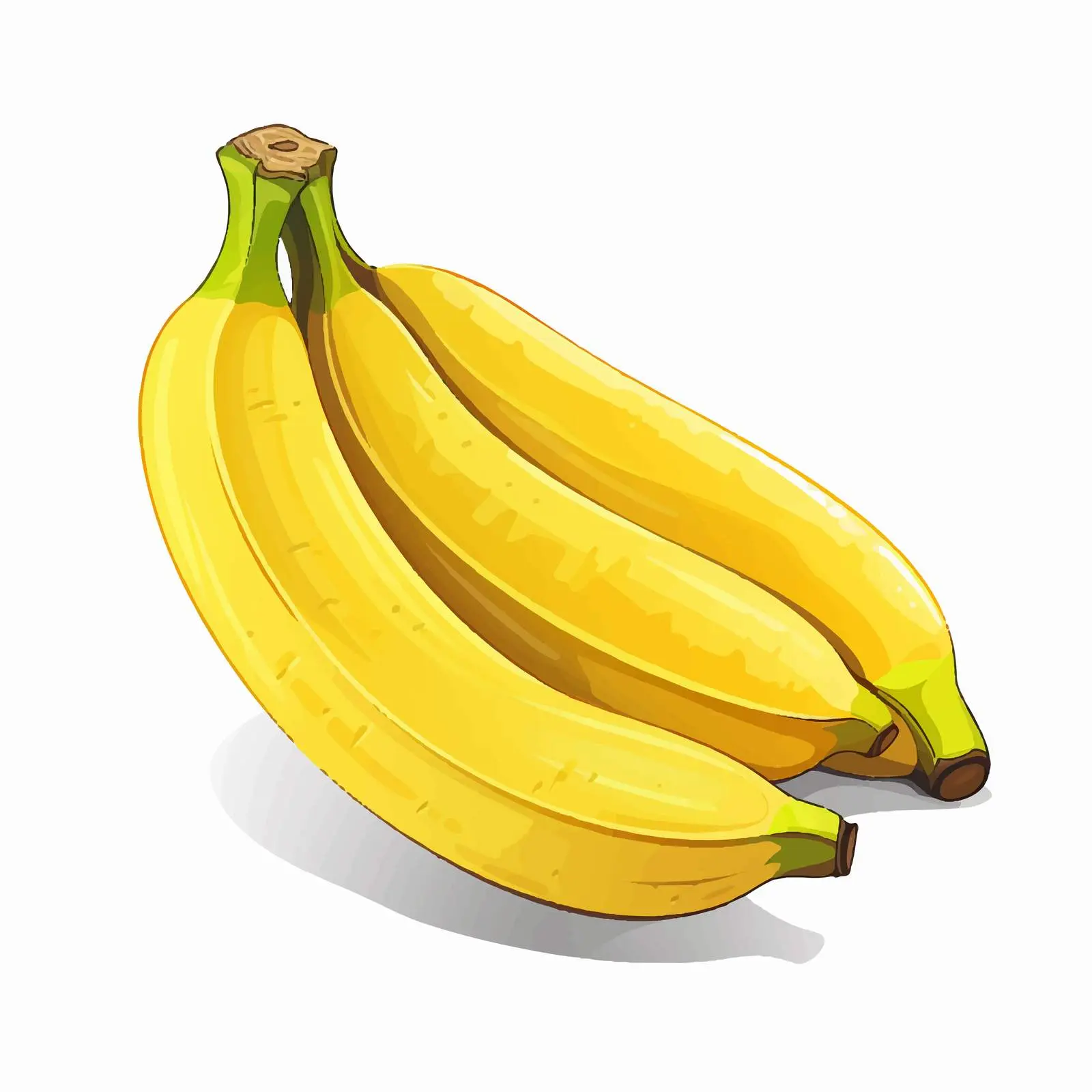 Banana Vector Illustration on White Background — free download from Dotvec