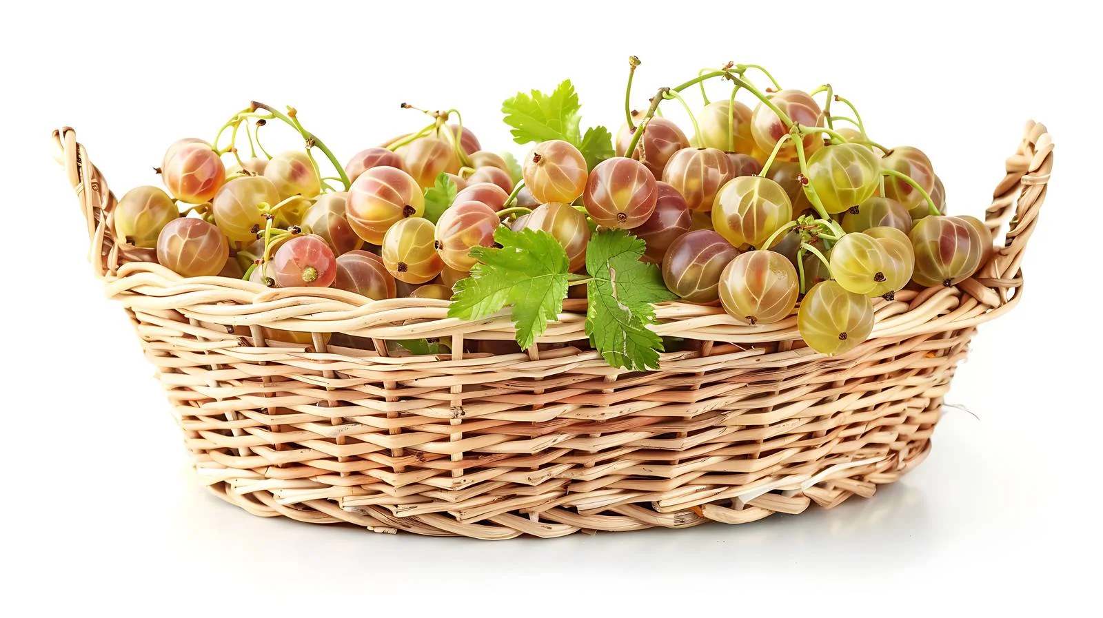 Vibrant Gooseberries in White Background Setting — free download from Dotvec