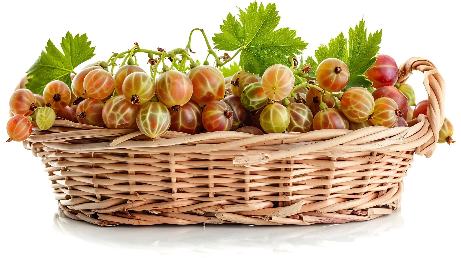 Fresh Gooseberries in White Background Basket — free download from Dotvec