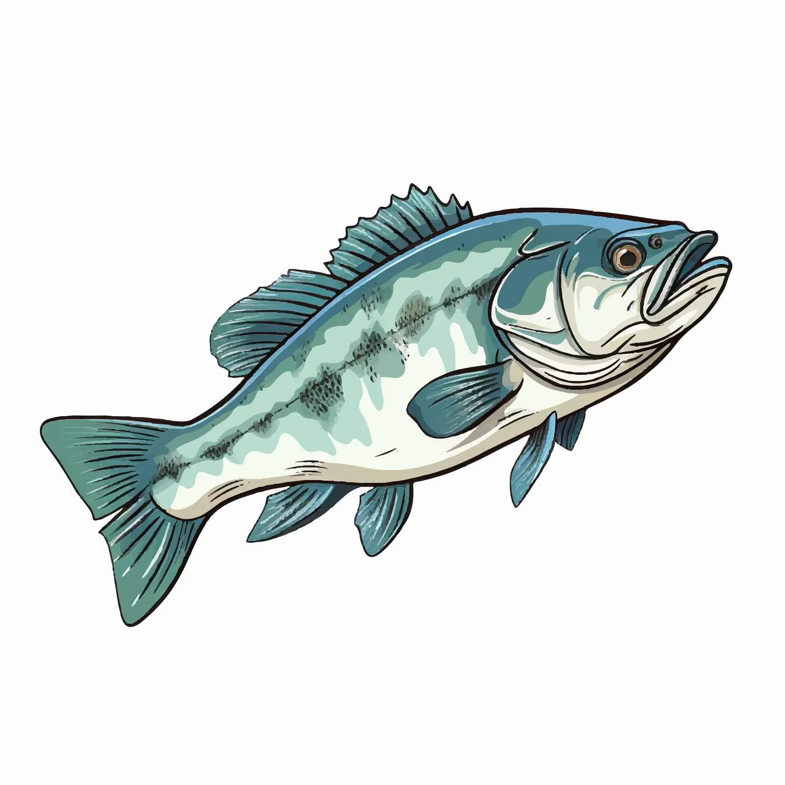 Bass Fish Vector Illustration on White Background — free download from Dotvec