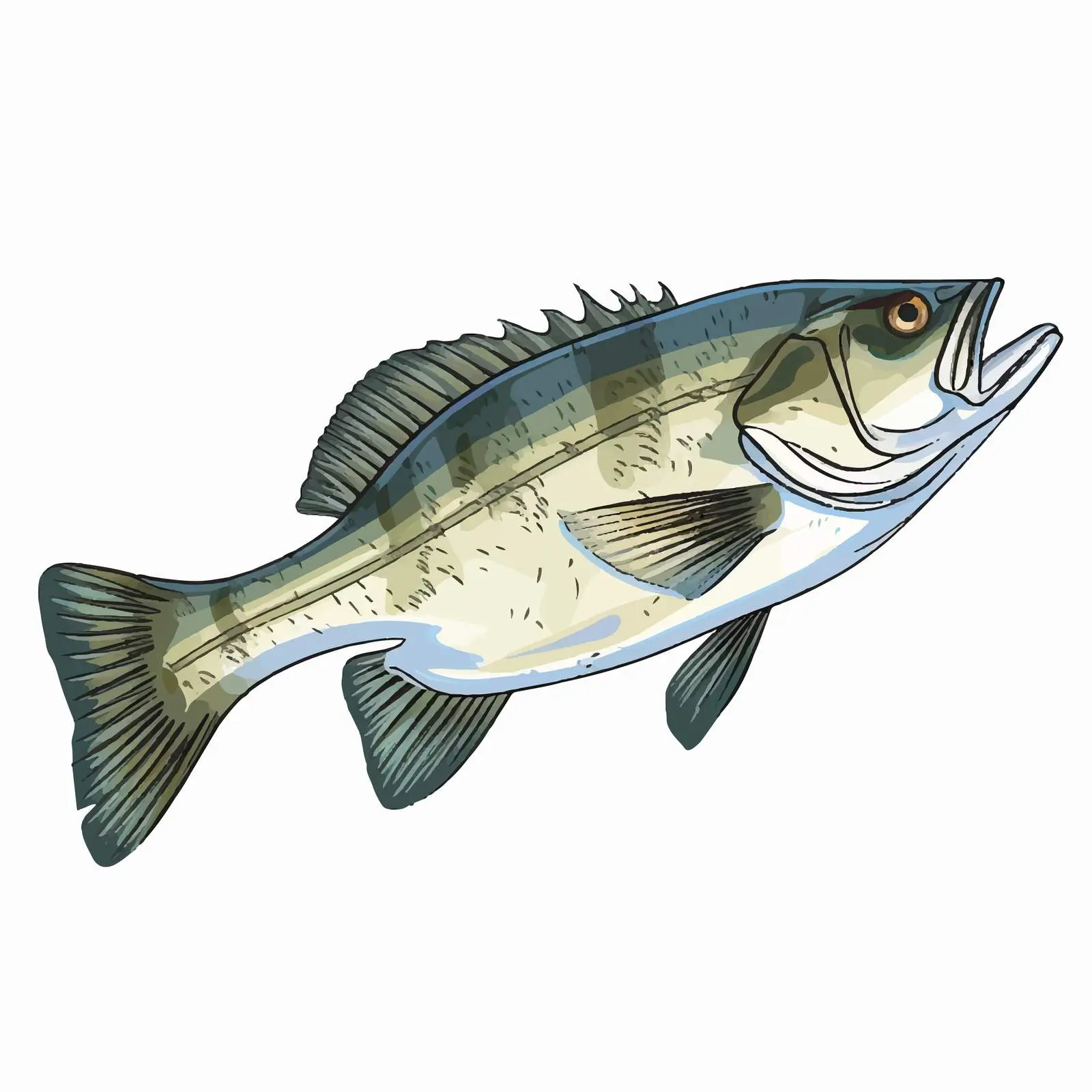 Bass Fish Vector Illustration on White Background — free download from Dotvec