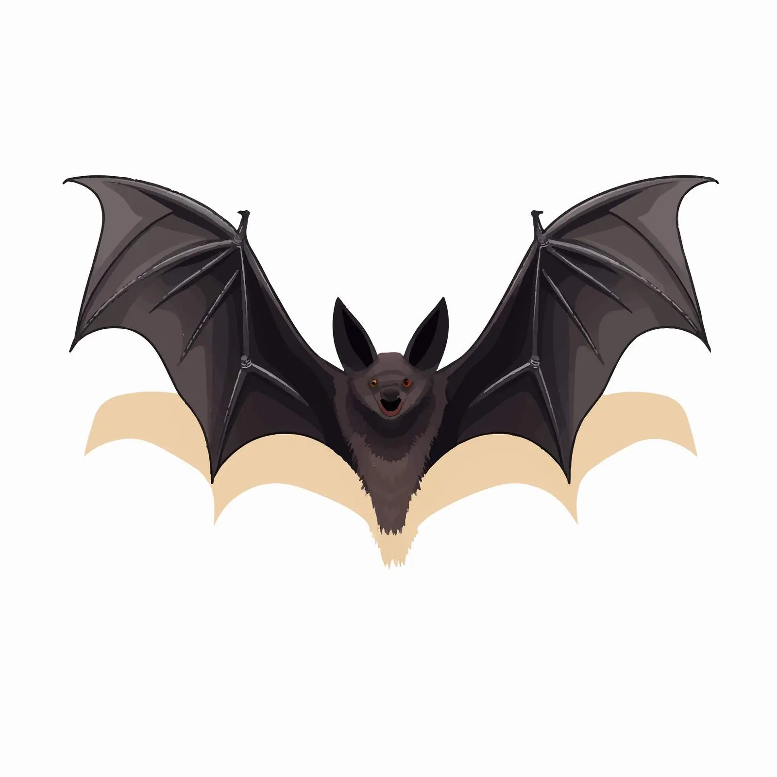 Top View Bat Vector Illustration on White Background — free download from Dotvec