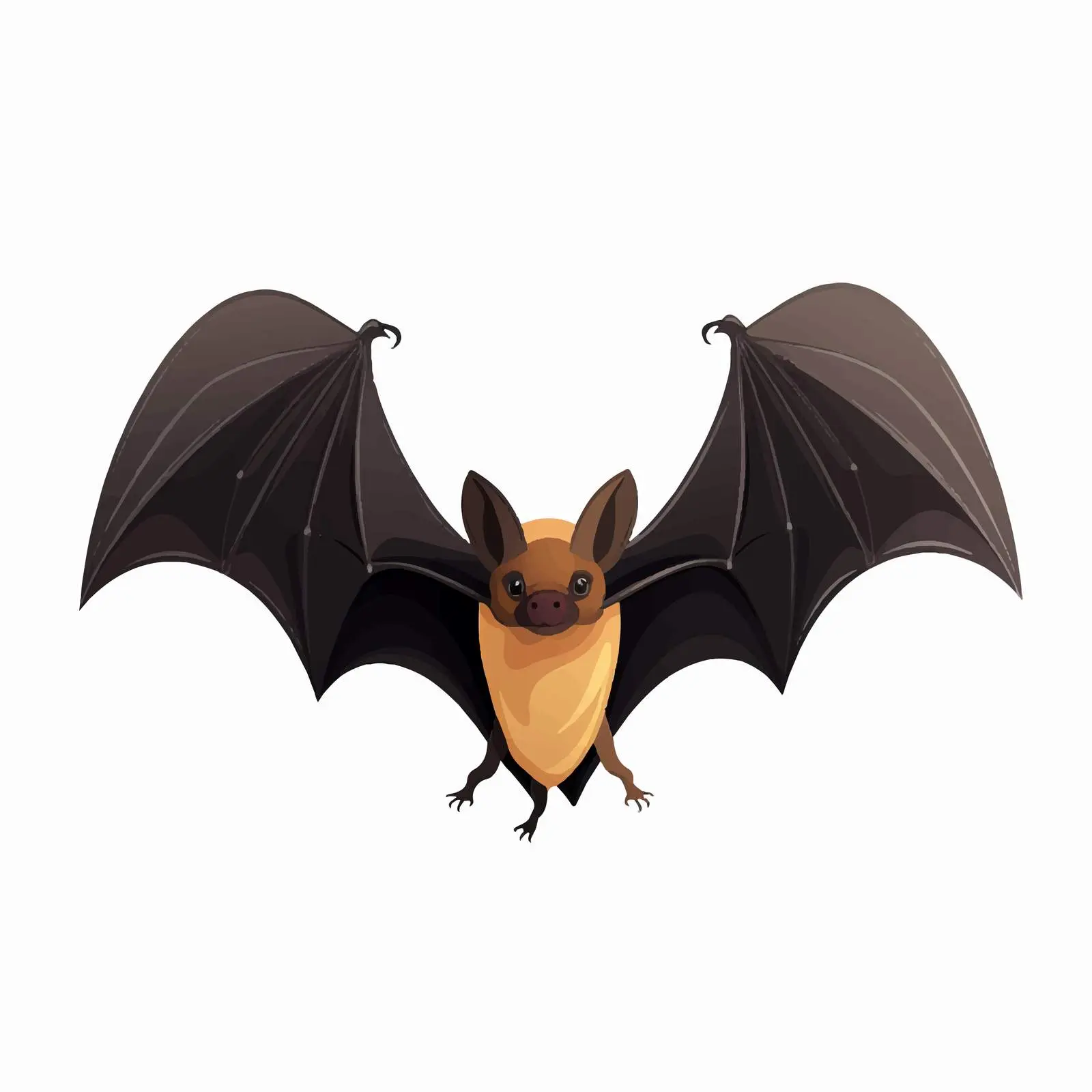 Top View Bat Vector Illustration on White Background — free download from Dotvec