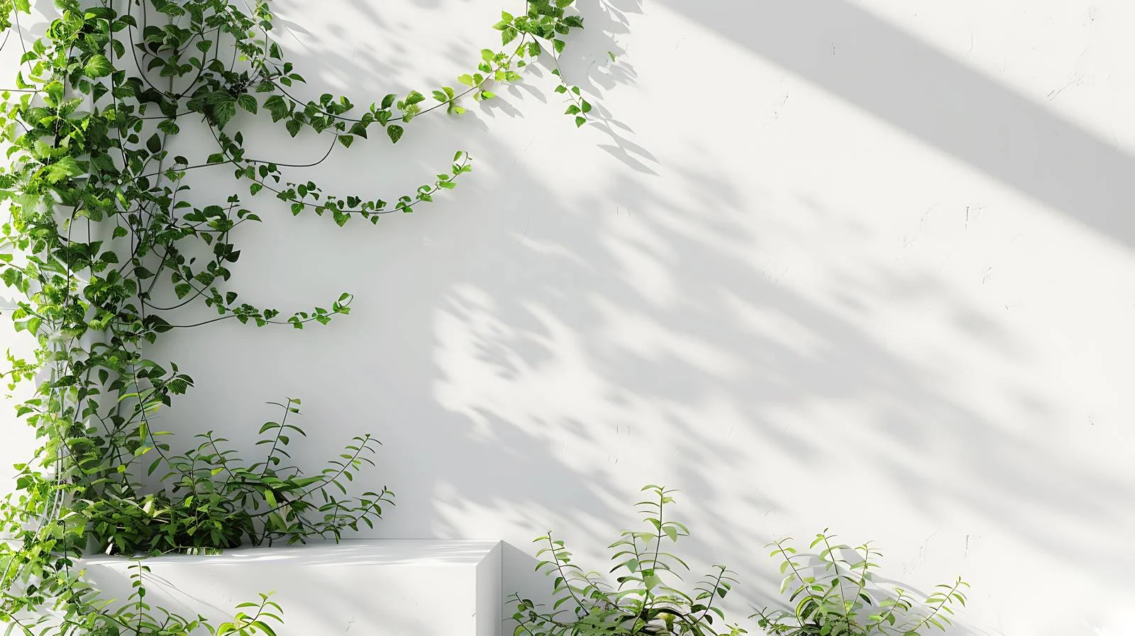 Elegant White-Walled Architecture detailing Charm — free download from Dotvec