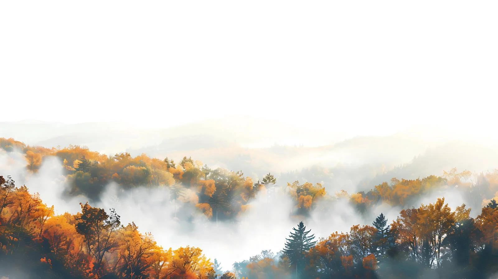 Scenic Autumn Morning Blanketed in Fog — free download from Dotvec