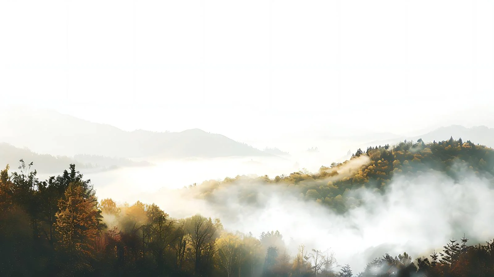 Majestic autumn sunrise above misty mountains — free download from Dotvec