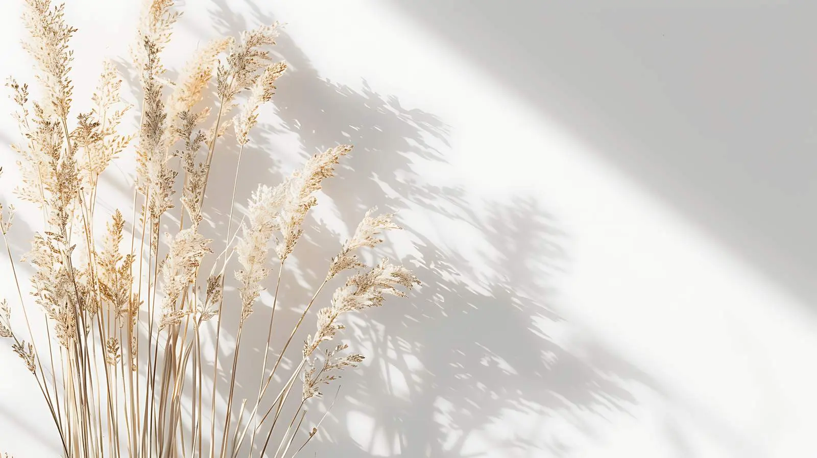 Beige Dry Grass Stems Bouquet on White Background — free download from Dotvec