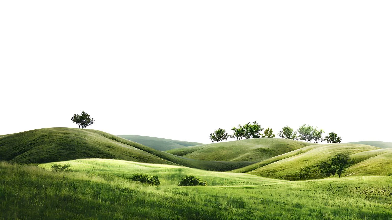 Serene Countryside Landscape — free download from Dotvec
