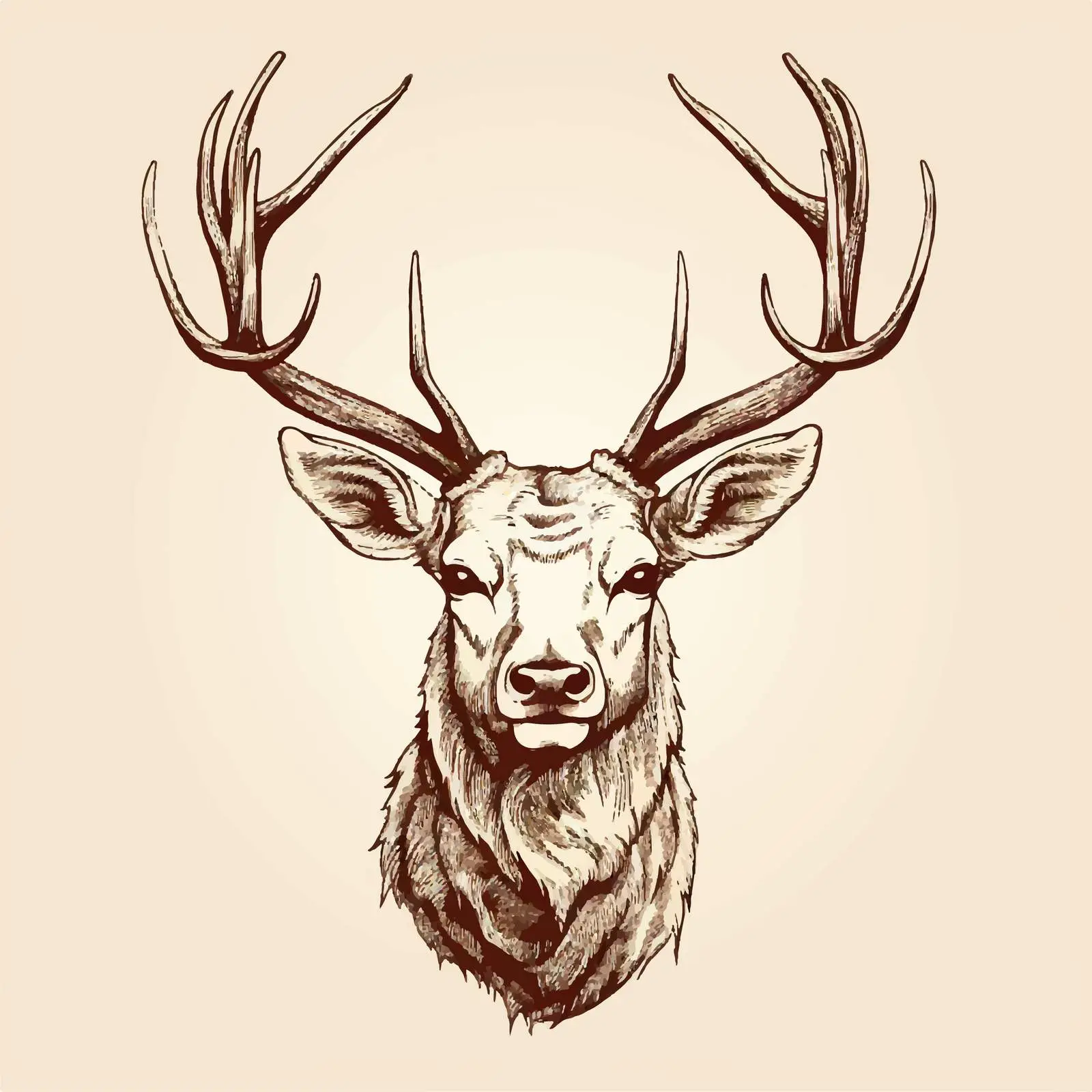 Male Deer Head Sketch Vector Art — free download from Dotvec