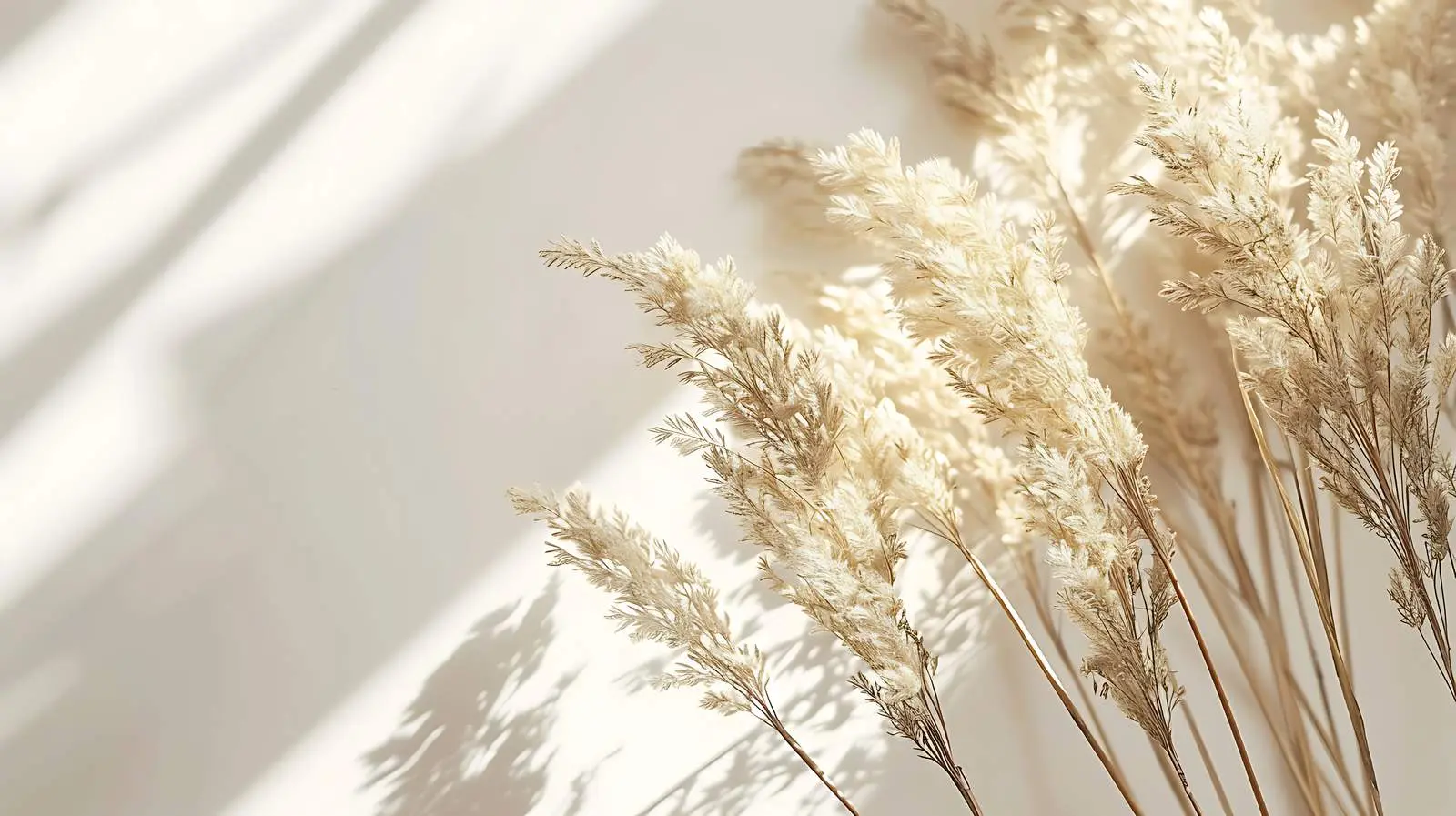 Dried Grass Stems with Sunlight Shadows — free download from Dotvec