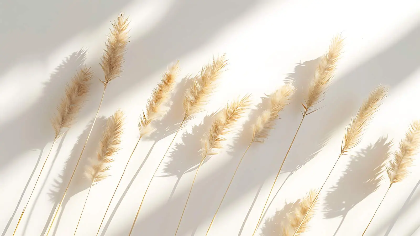 Dried Rabbit Tail and Pampas Grass Arrangement – free flower decoration image from Dotvec