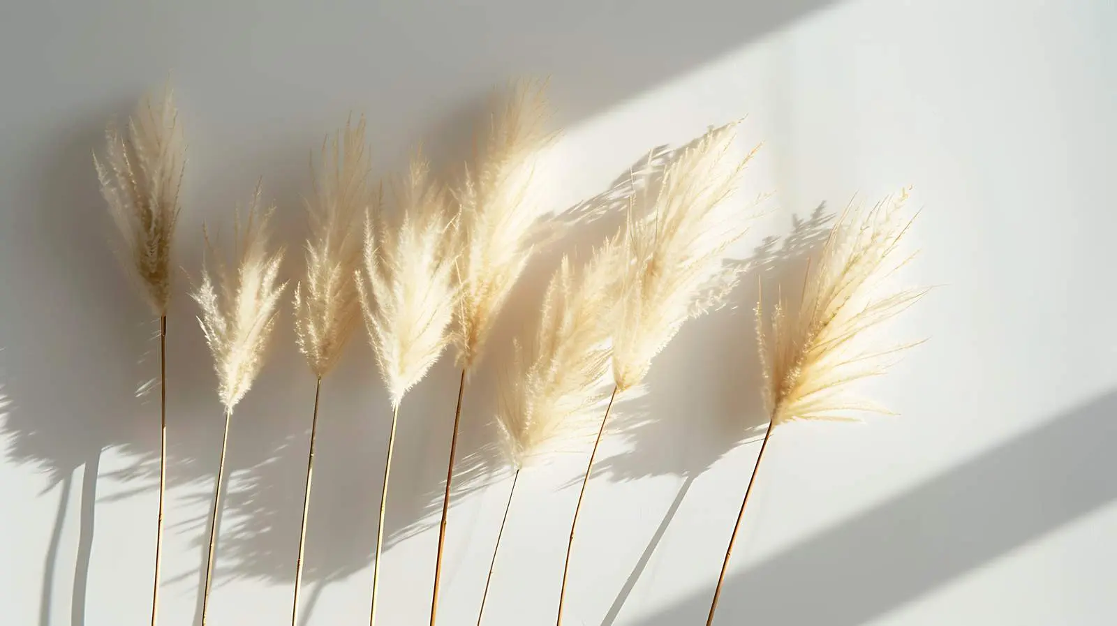 Dried Rabbit Tail and Pampas Grass Arrangement — free download from Dotvec