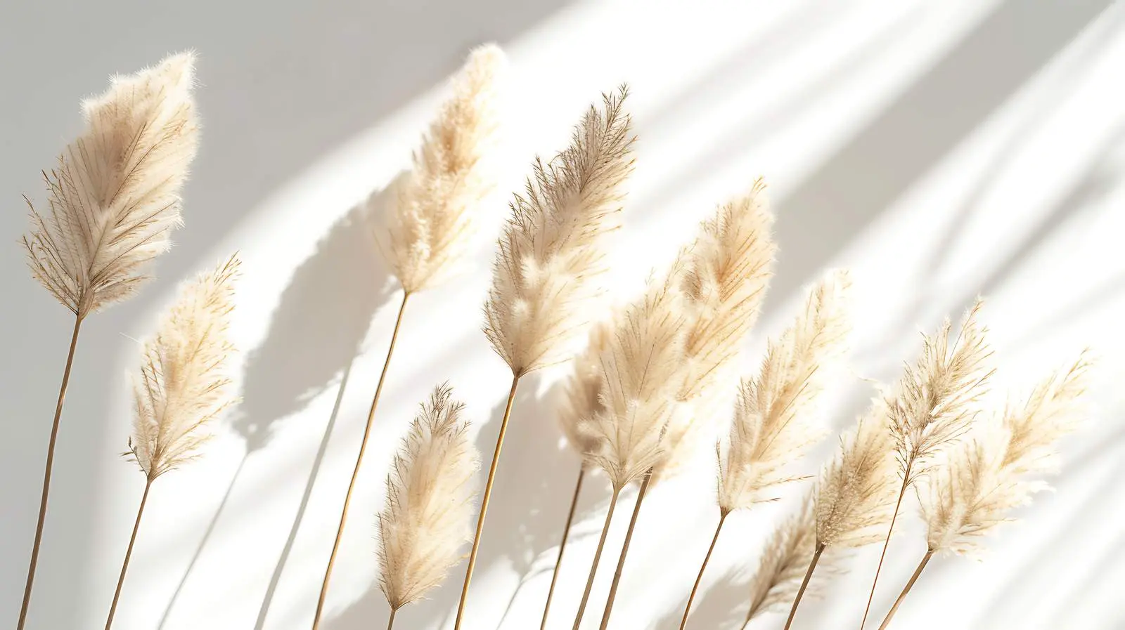 Beautiful Dried Rabbit Tail Grass Arrangement — free download from Dotvec