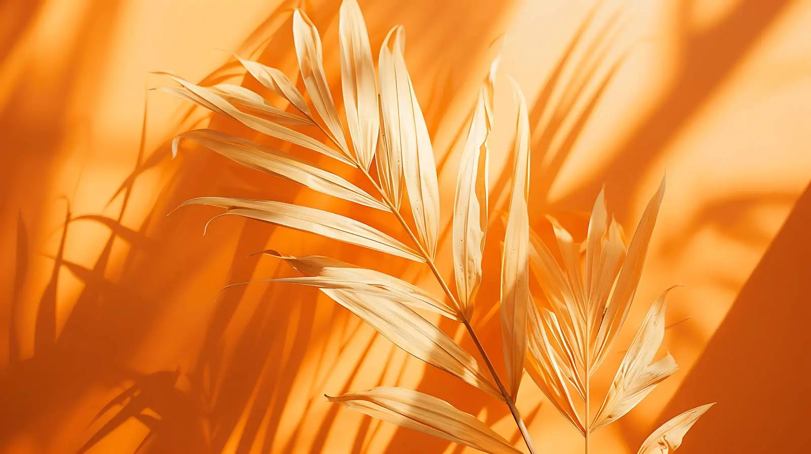 Dried Tropical Palm Leaf Stems on Orange Background — free download from Dotvec