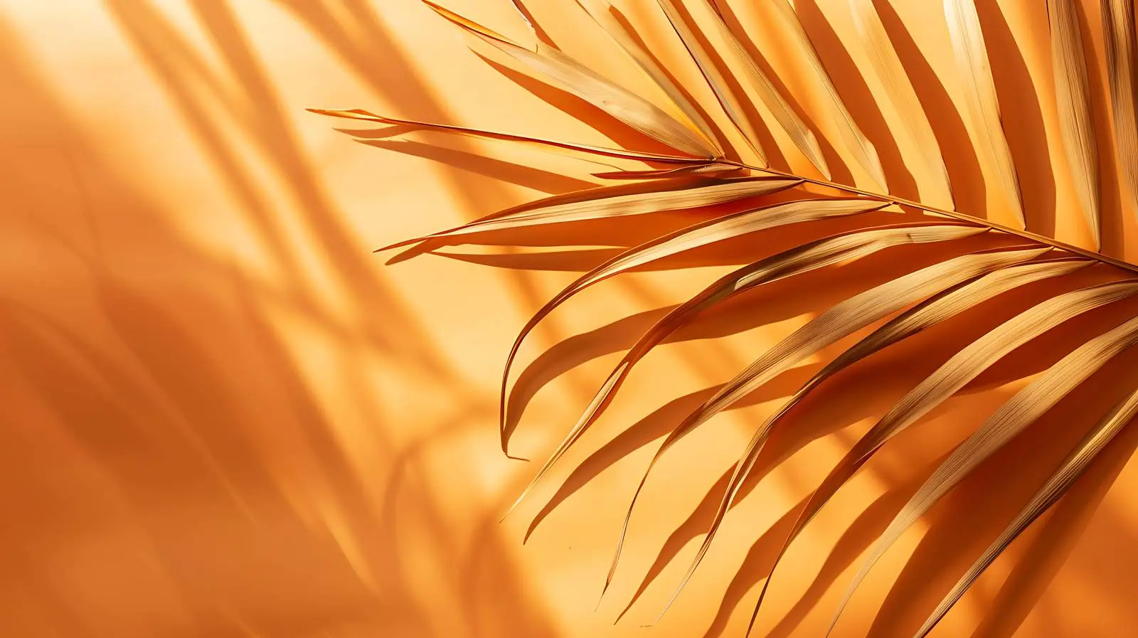 Dried Tropical Palm Leaf Stems on Orange Background — free download from Dotvec